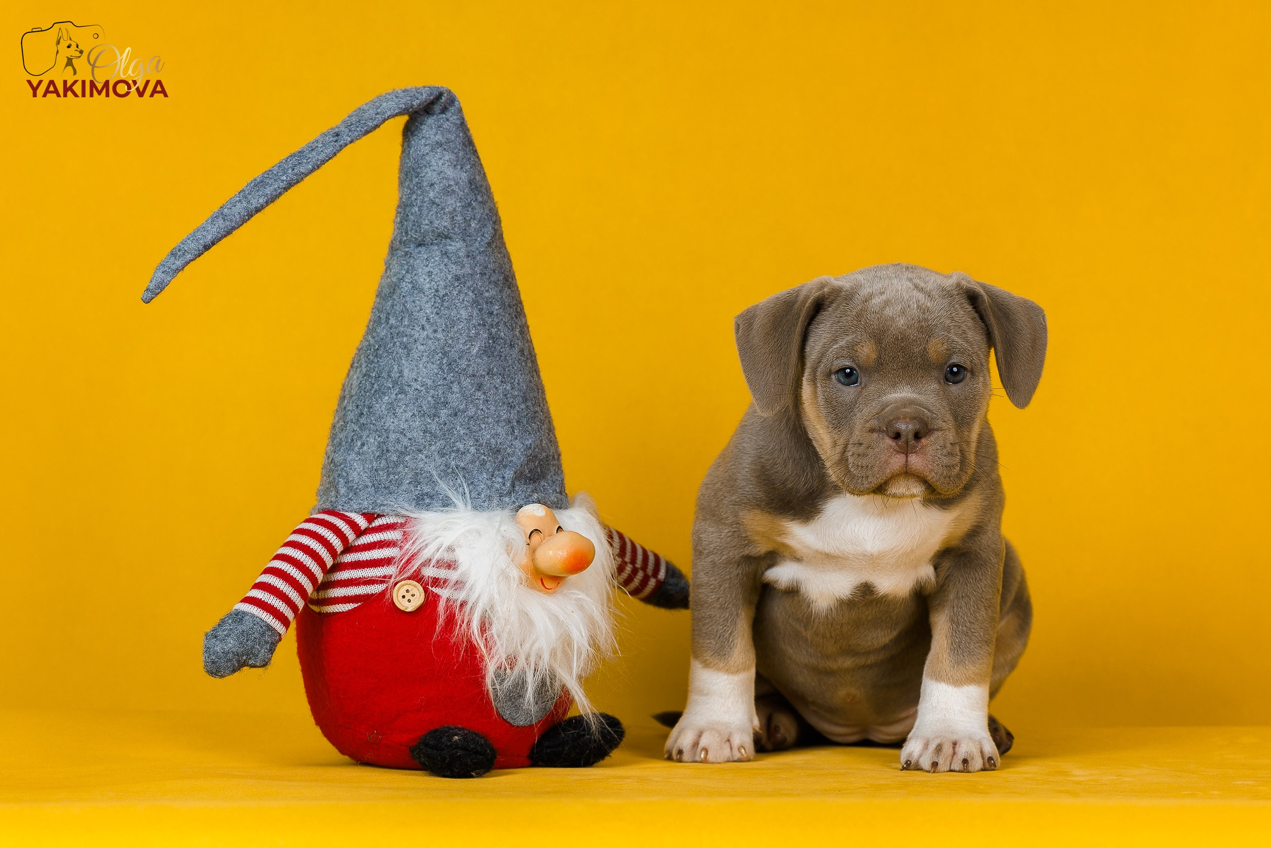 Прайс. Фотограф