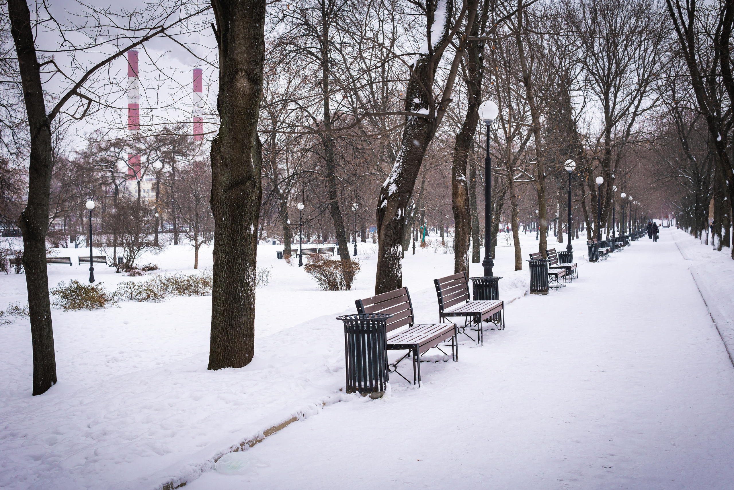 Аллея в Новодевичьем монастыре