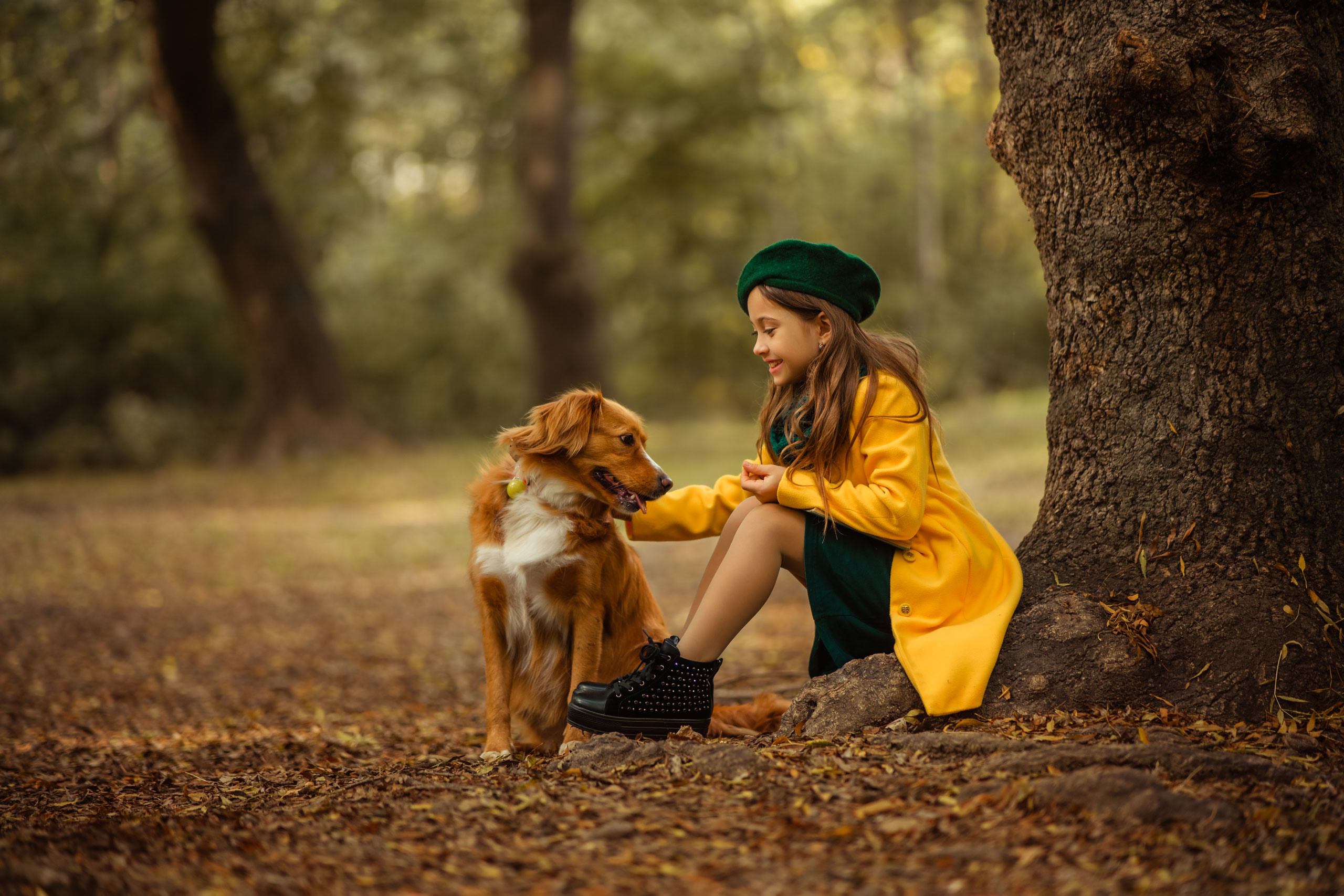Обучение. Фотограф в Египте, Хургаде, Луксоре, Сафаге. Фотограф по всему миру