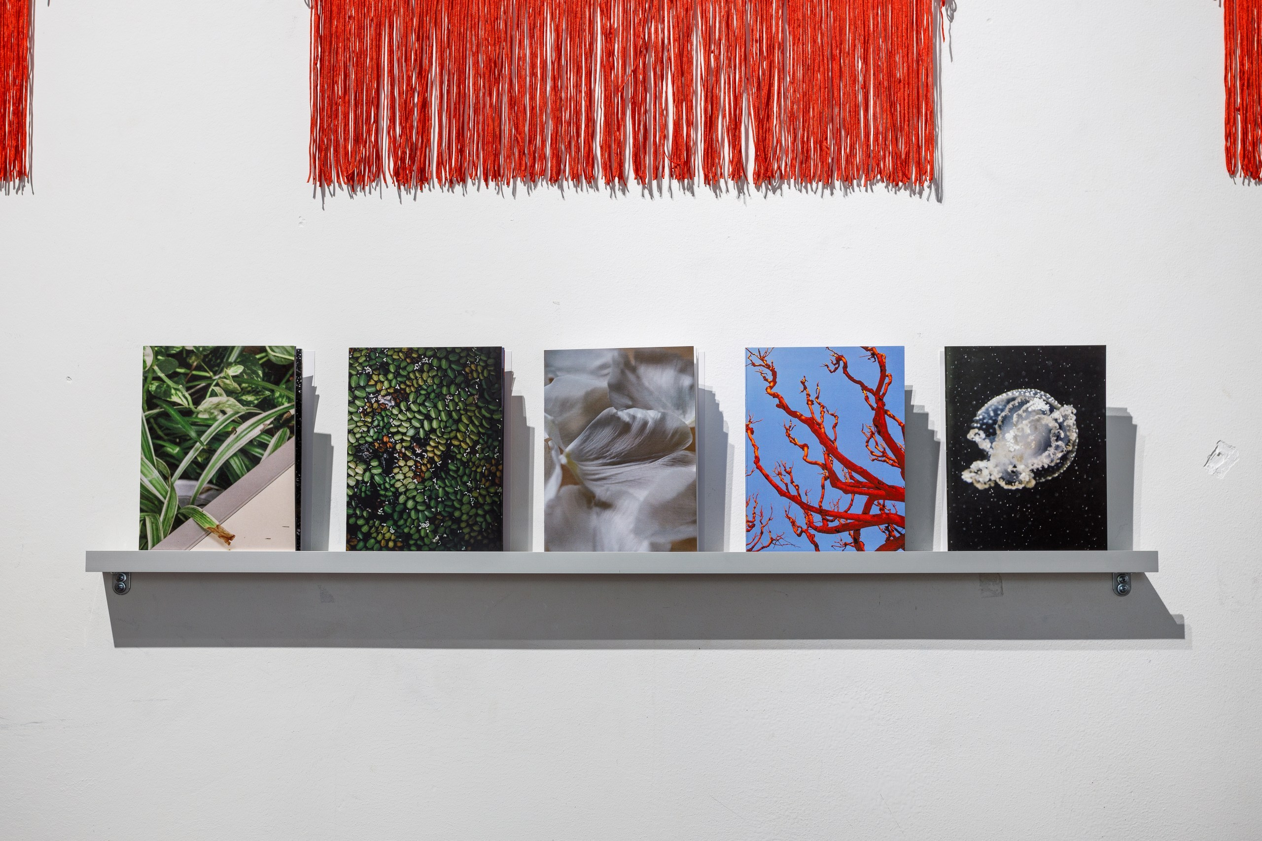 Бег во сне. Мария Ковалевская — фотохудожник