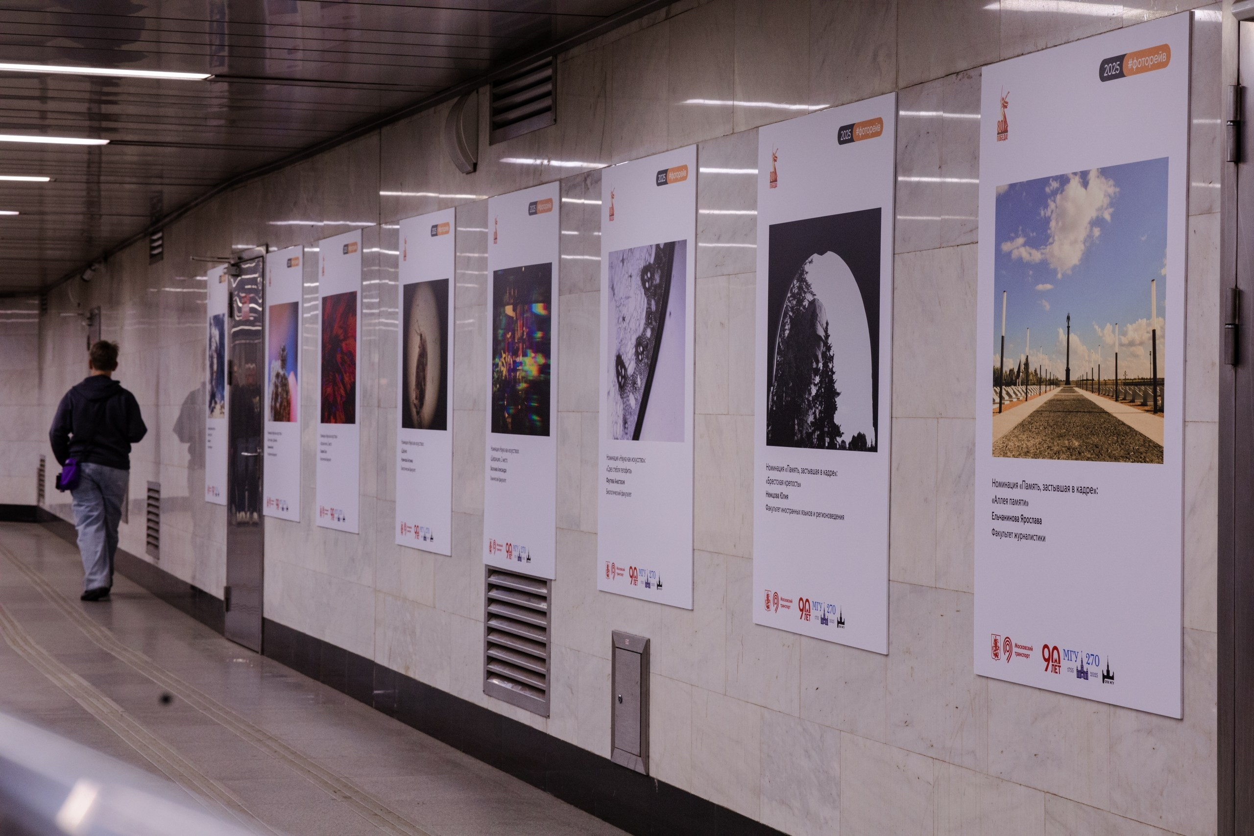 Begomvprofcom.wfolio.pro