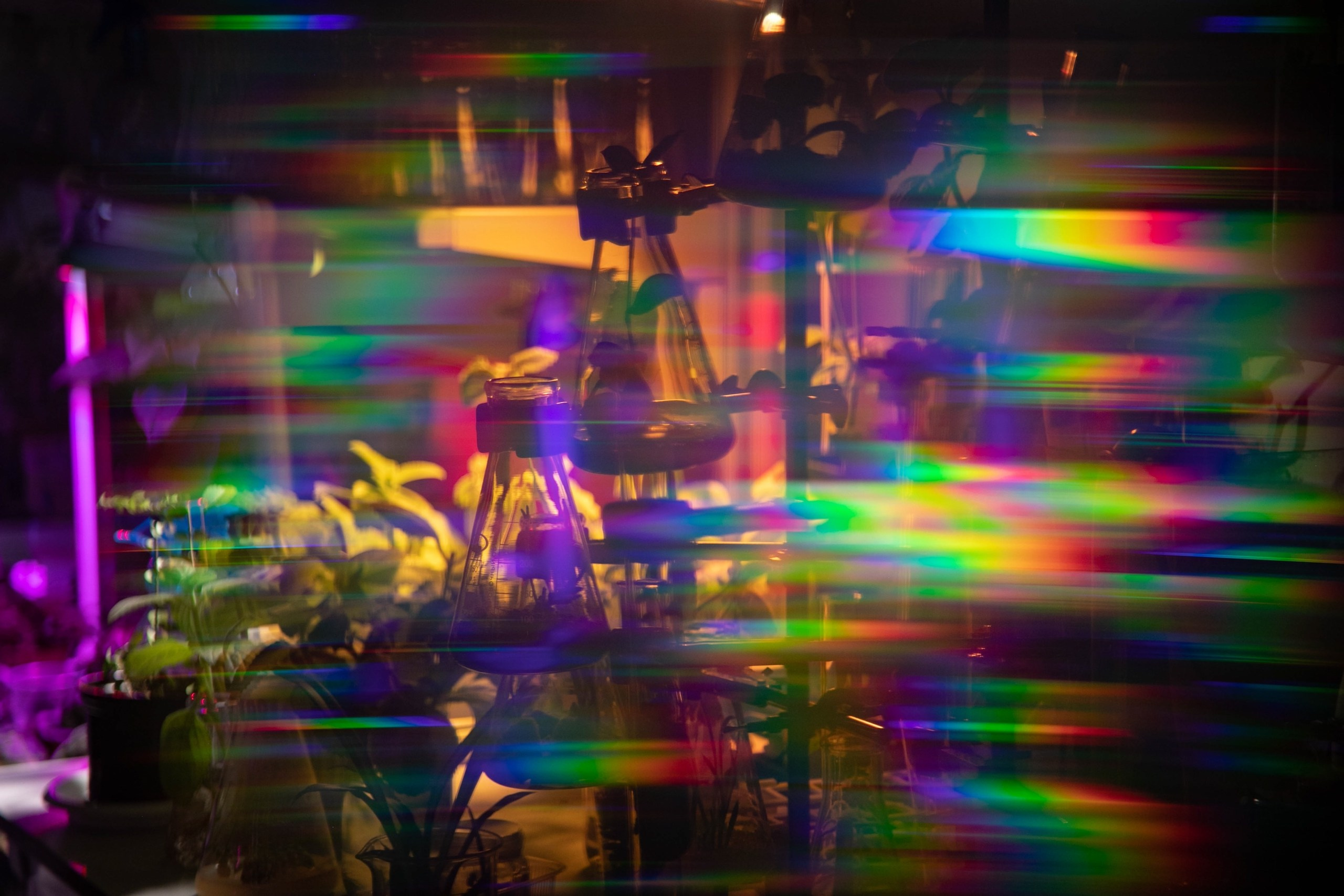 中文. Begomvprofcom.wfolio.pro