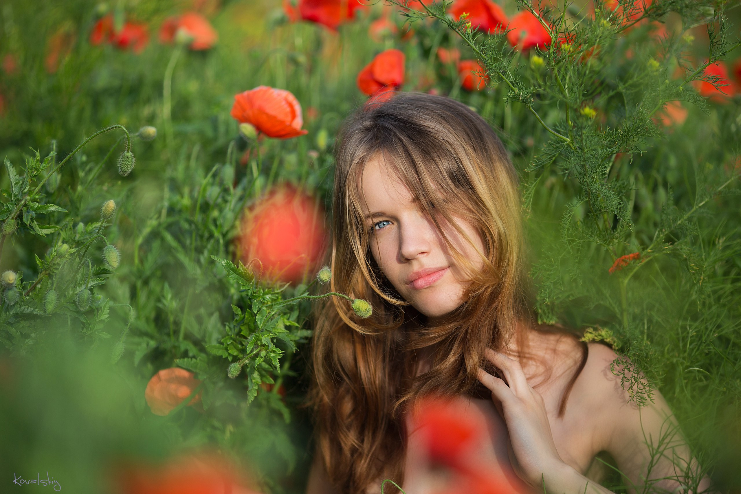 Портрет девушки. Фотосессия в маках