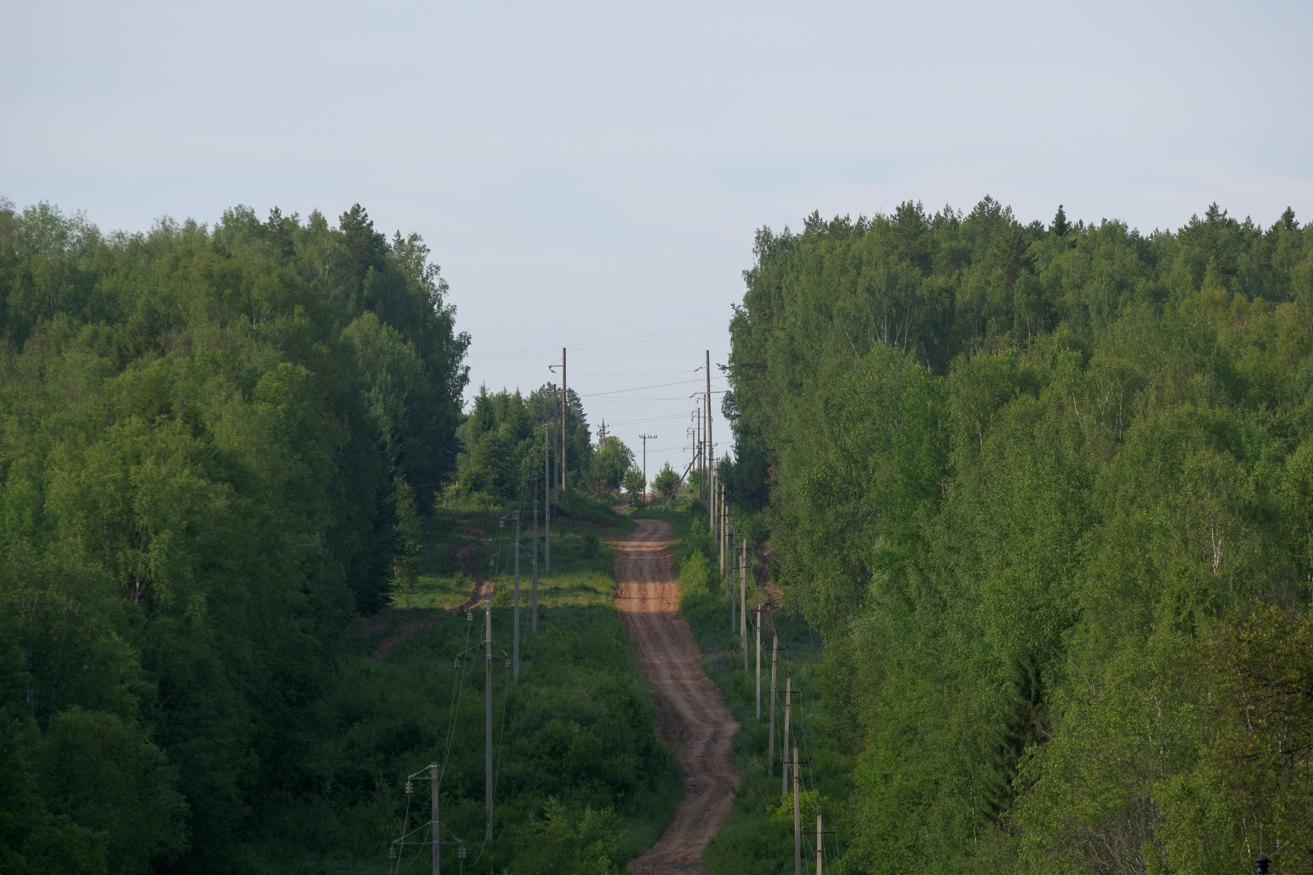 Nikon Z 50 Camera with AF-S VR Zoom-Nikkor 70-300mm f/4.5-5.6G IF-ED. Examples of RAW files