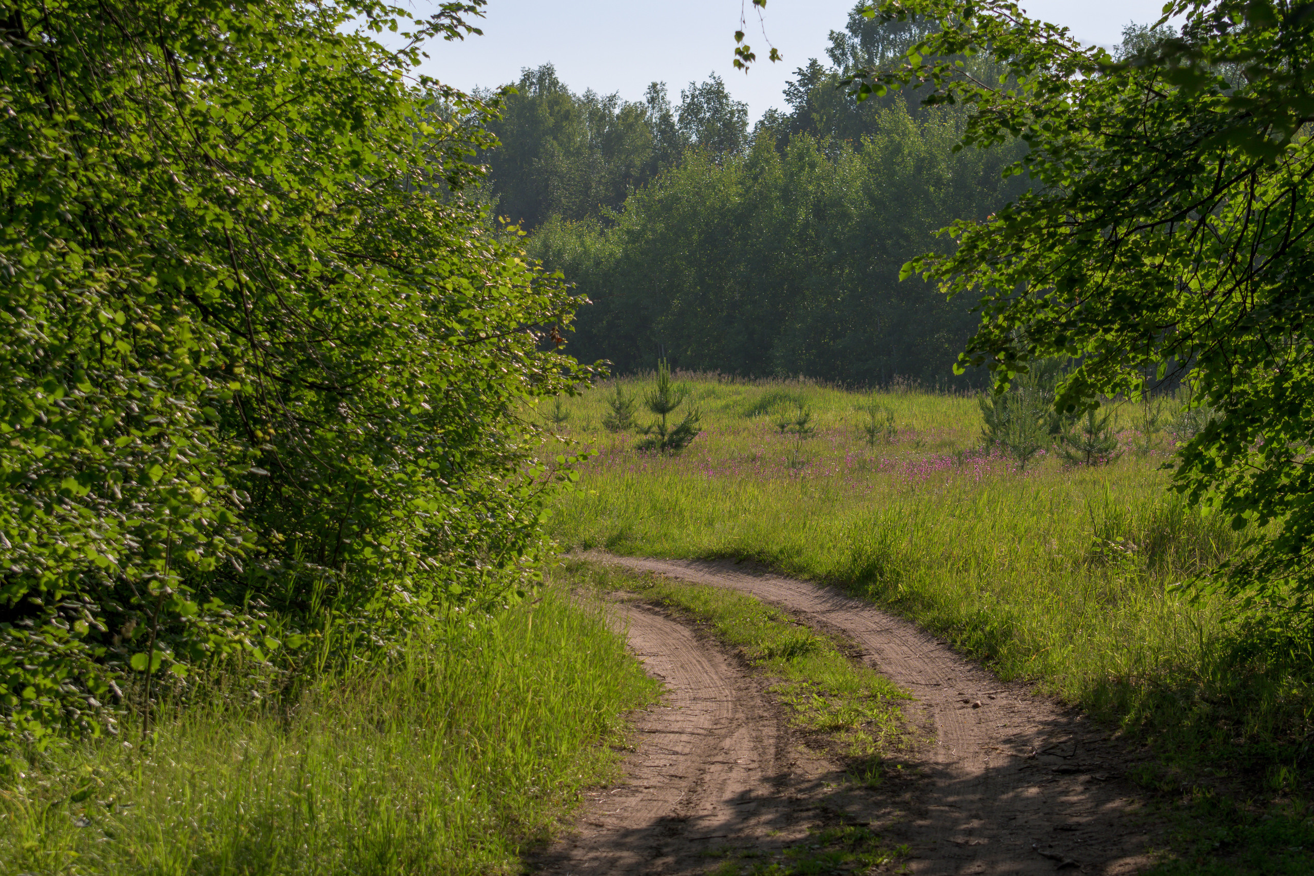 Nikon Z 50 Camera with AF-S VR Zoom-Nikkor 70-300mm f/4.5-5.6G IF-ED. Examples of RAW files