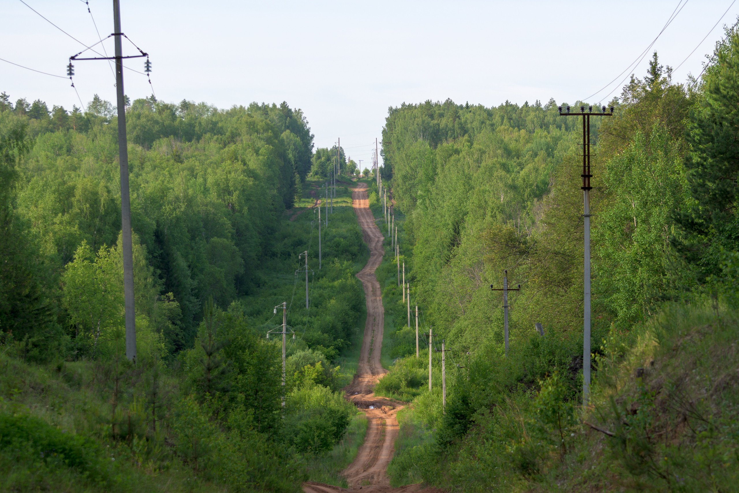 Nikon Z 50 Camera with AF-S VR Zoom-Nikkor 70-300mm f/4.5-5.6G IF-ED. Examples of RAW files