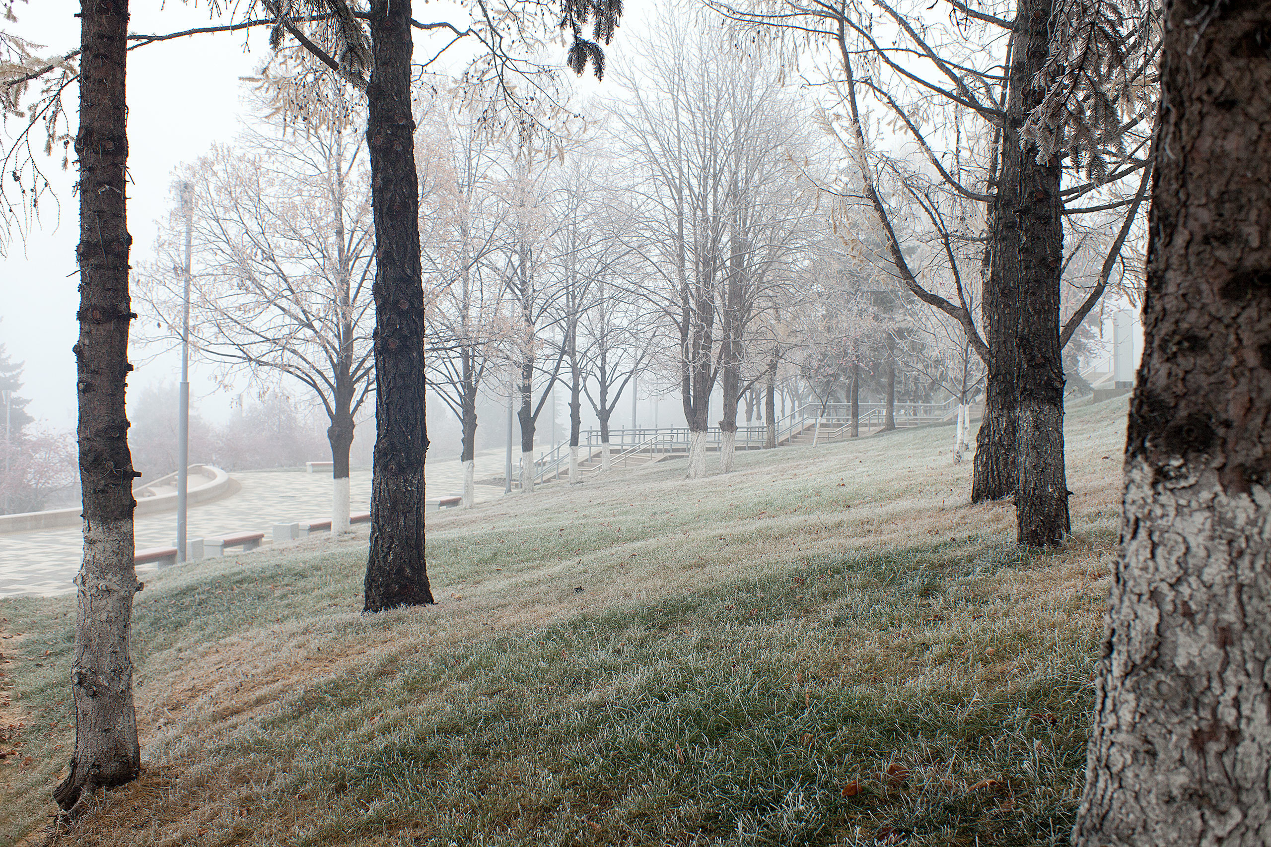 «Успех — понятие комплексное»: Ольга Усольцева о мире фотографии и современного…. Школа психологической фотографии Refflector