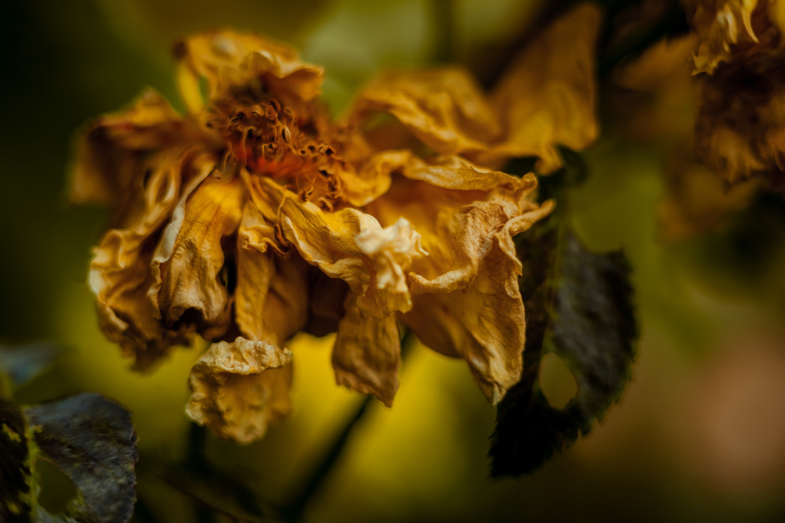 Фотограф Виталий Верескун. Козельск-Калуга