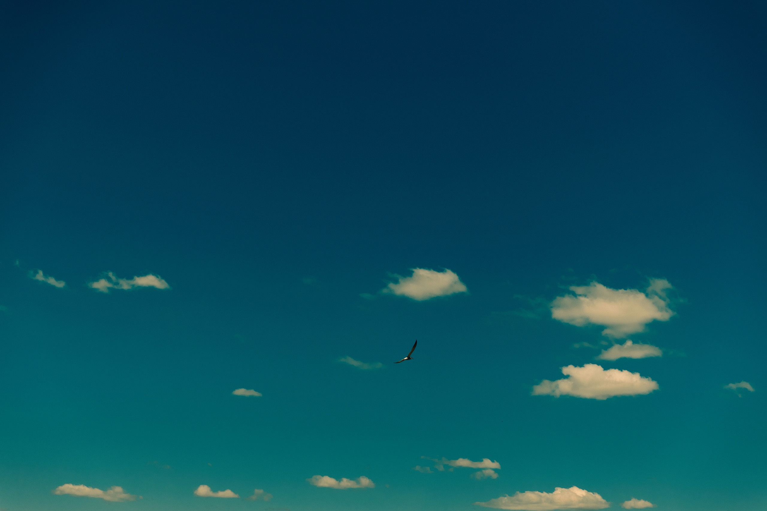 Фотограф Виталий Верескун. Козельск-Калуга