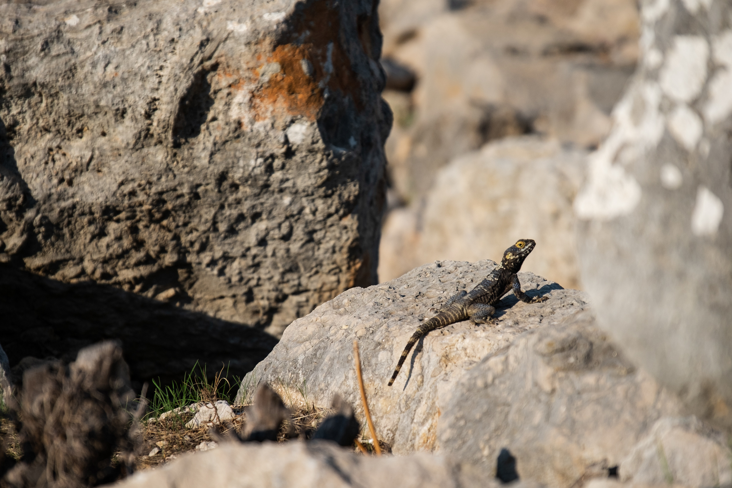 Такая необычная Турция. Фотограф Александр Чешуин