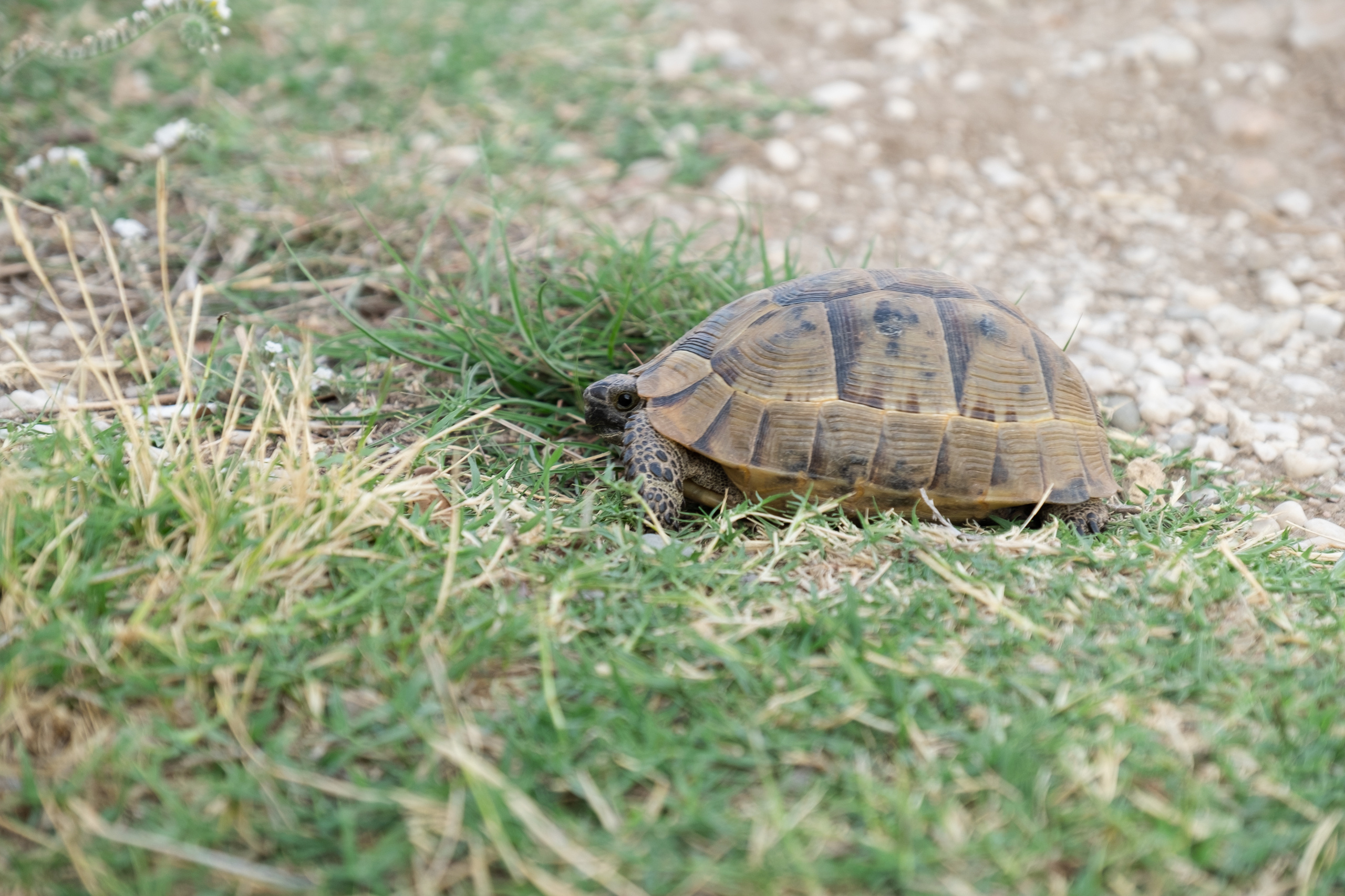 Такая необычная Турция. Фотограф Александр Чешуин