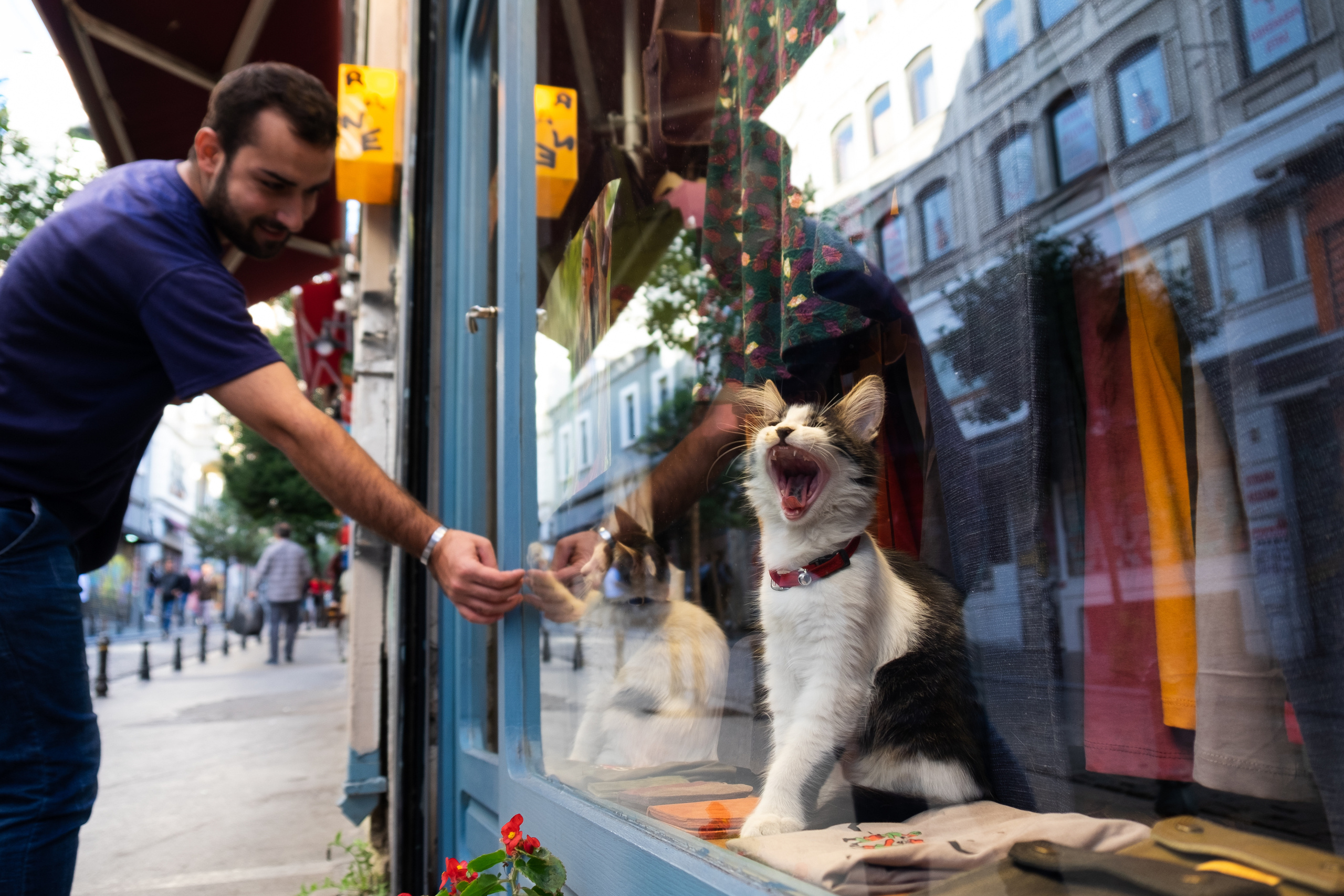Такая необычная Турция. Фотограф Александр Чешуин