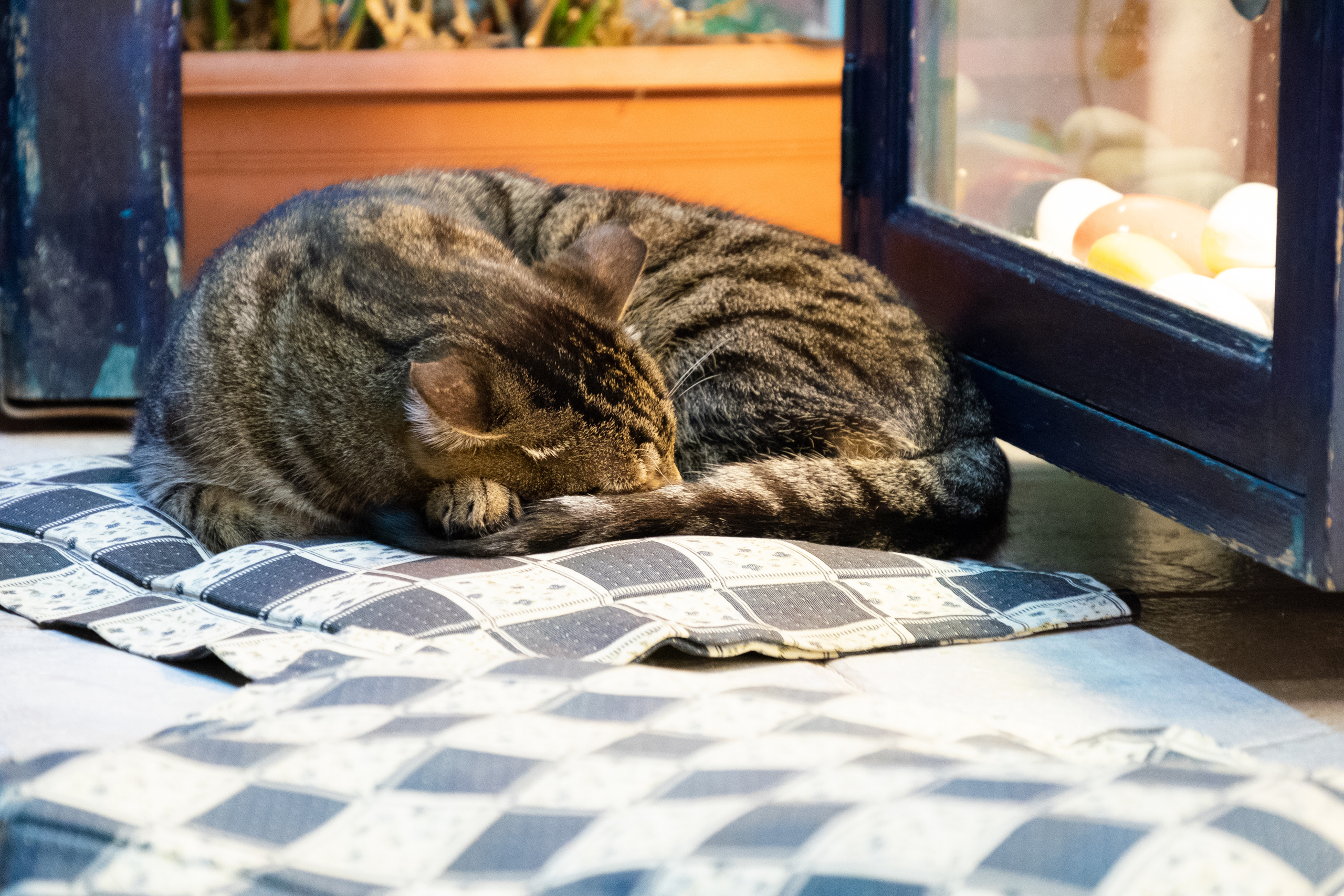 Такая необычная Турция. Фотограф Александр Чешуин