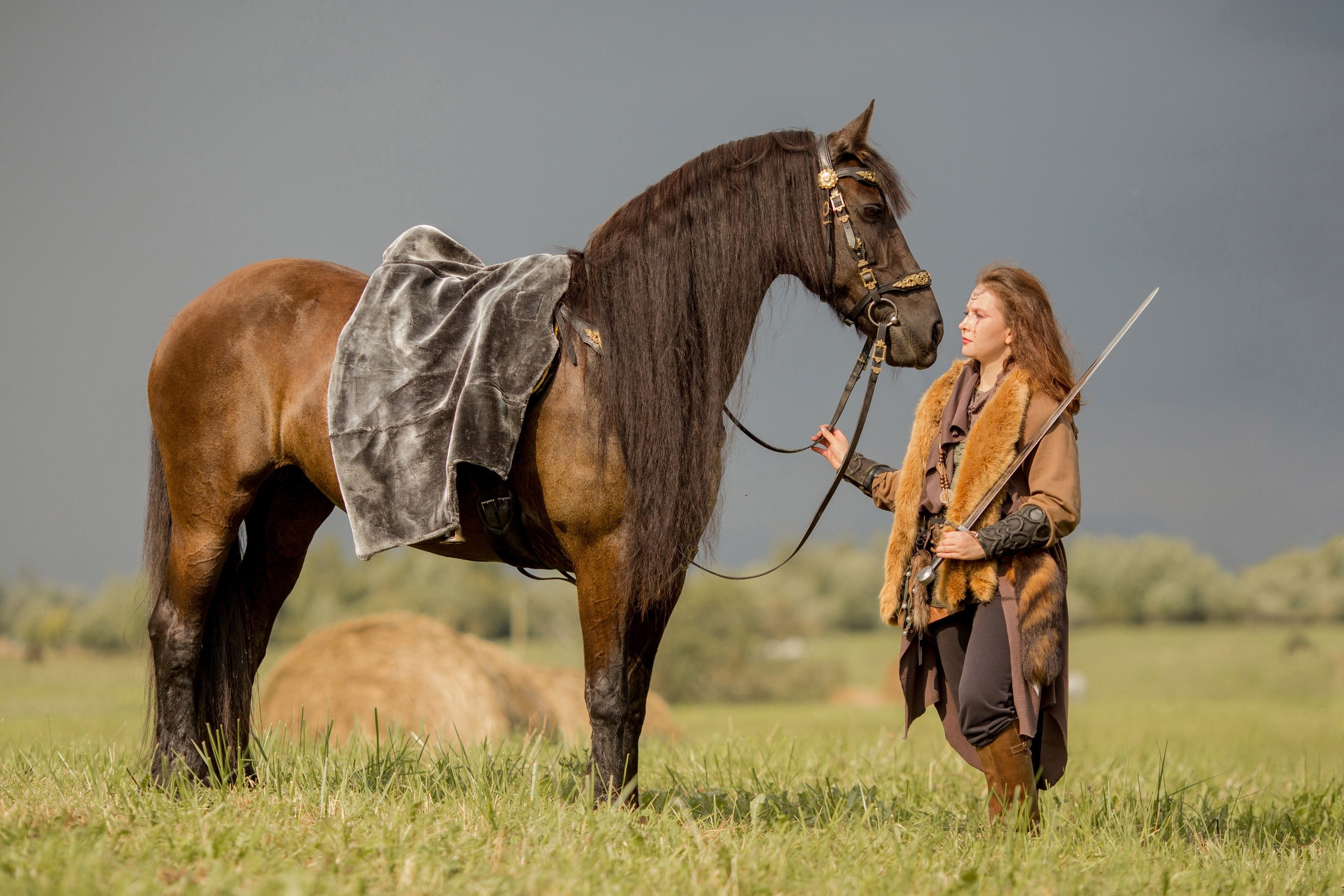 Предложения по фотосессиям с лошадьми