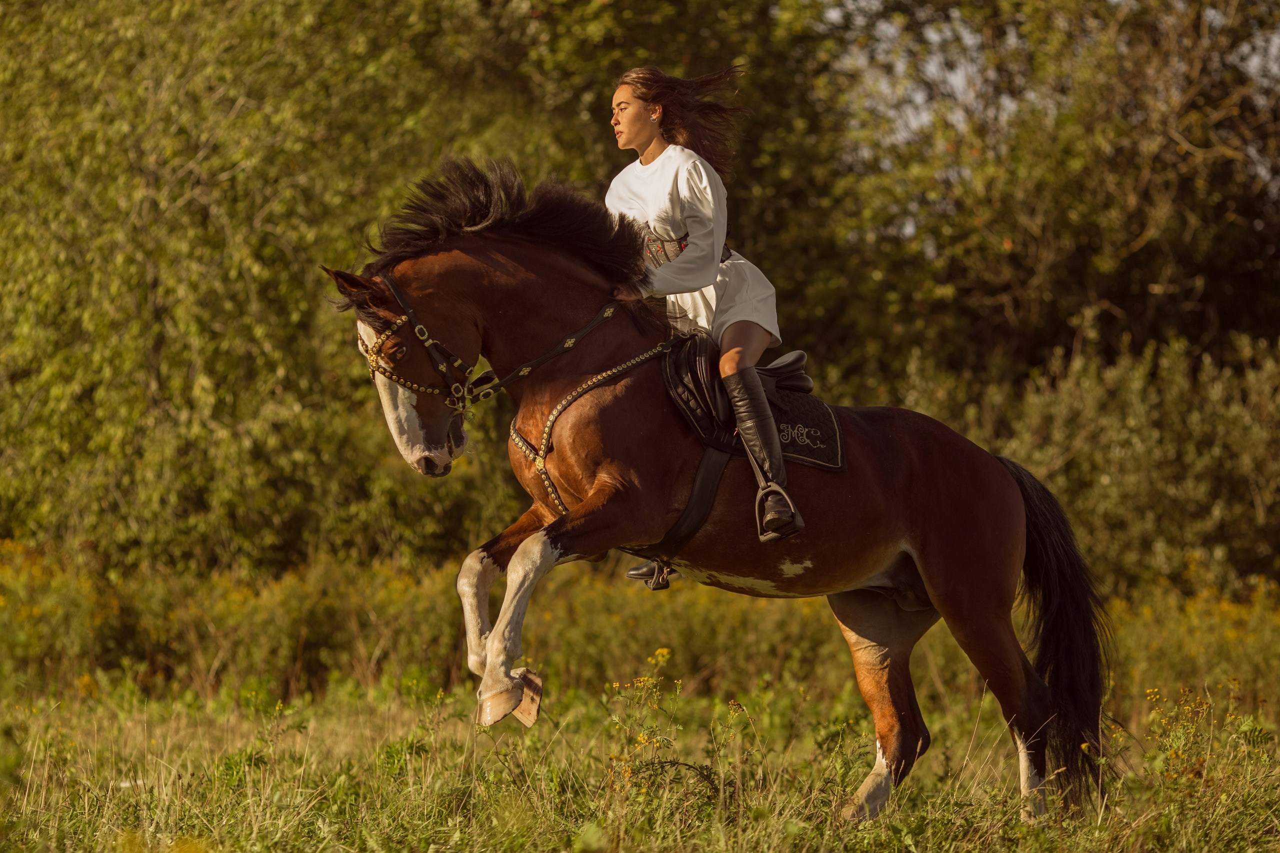 Цена фотосессии с лошадью в Петербурге