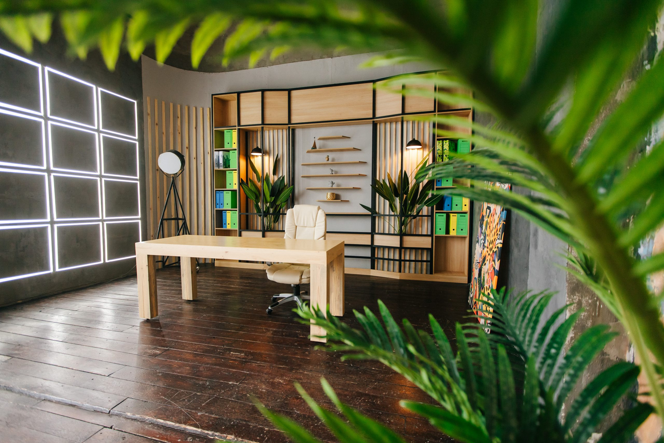 зеленая пальмовая ветвь в офисе с деревянным столом