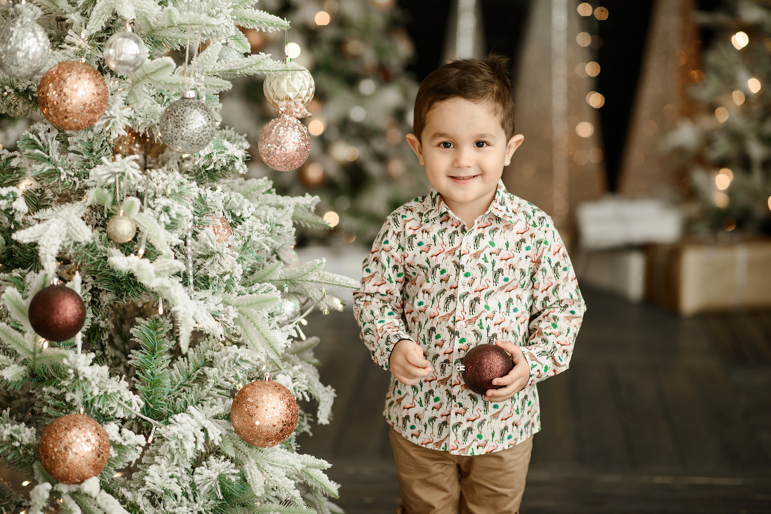 Новый Год 2024