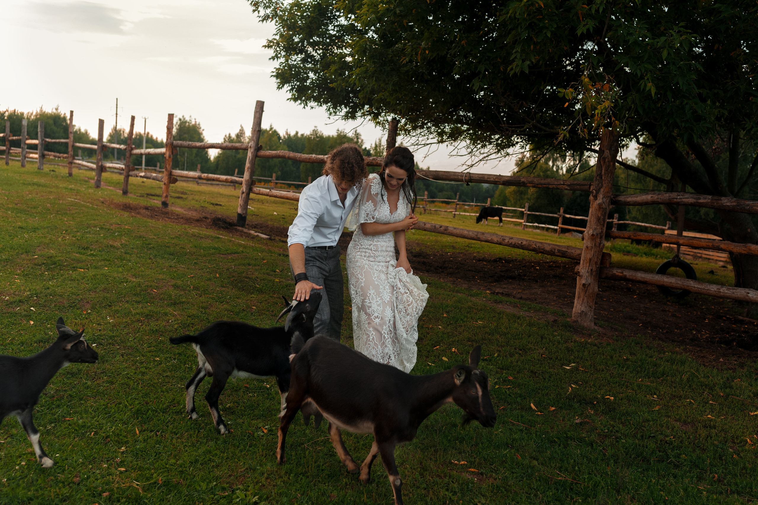 Фотосессия прекрасной пары на ферме среди лошадей