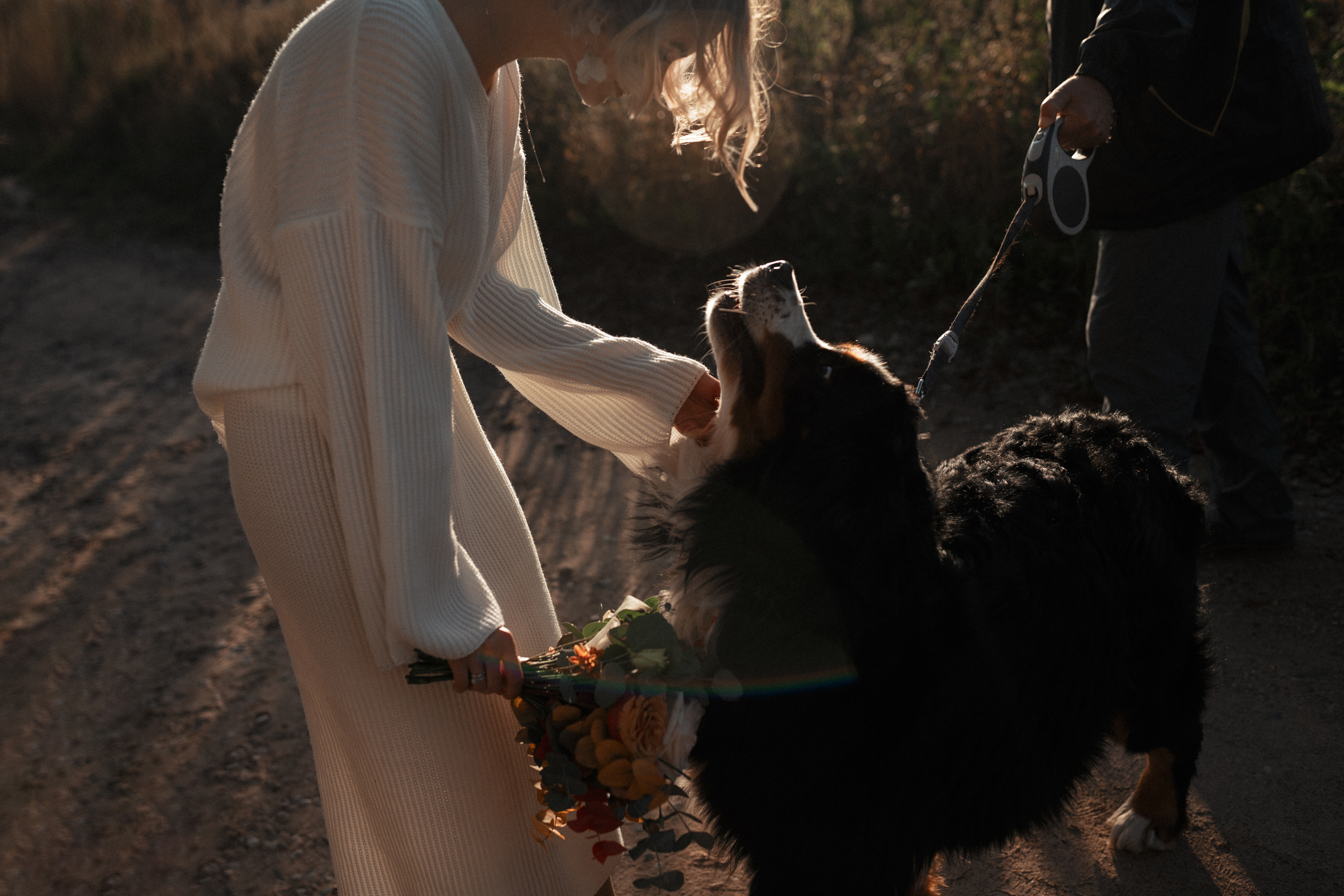 Невеста увидела идущую красивую собаку с хозяином. Черный пес заметил невесту и начал ластиться.