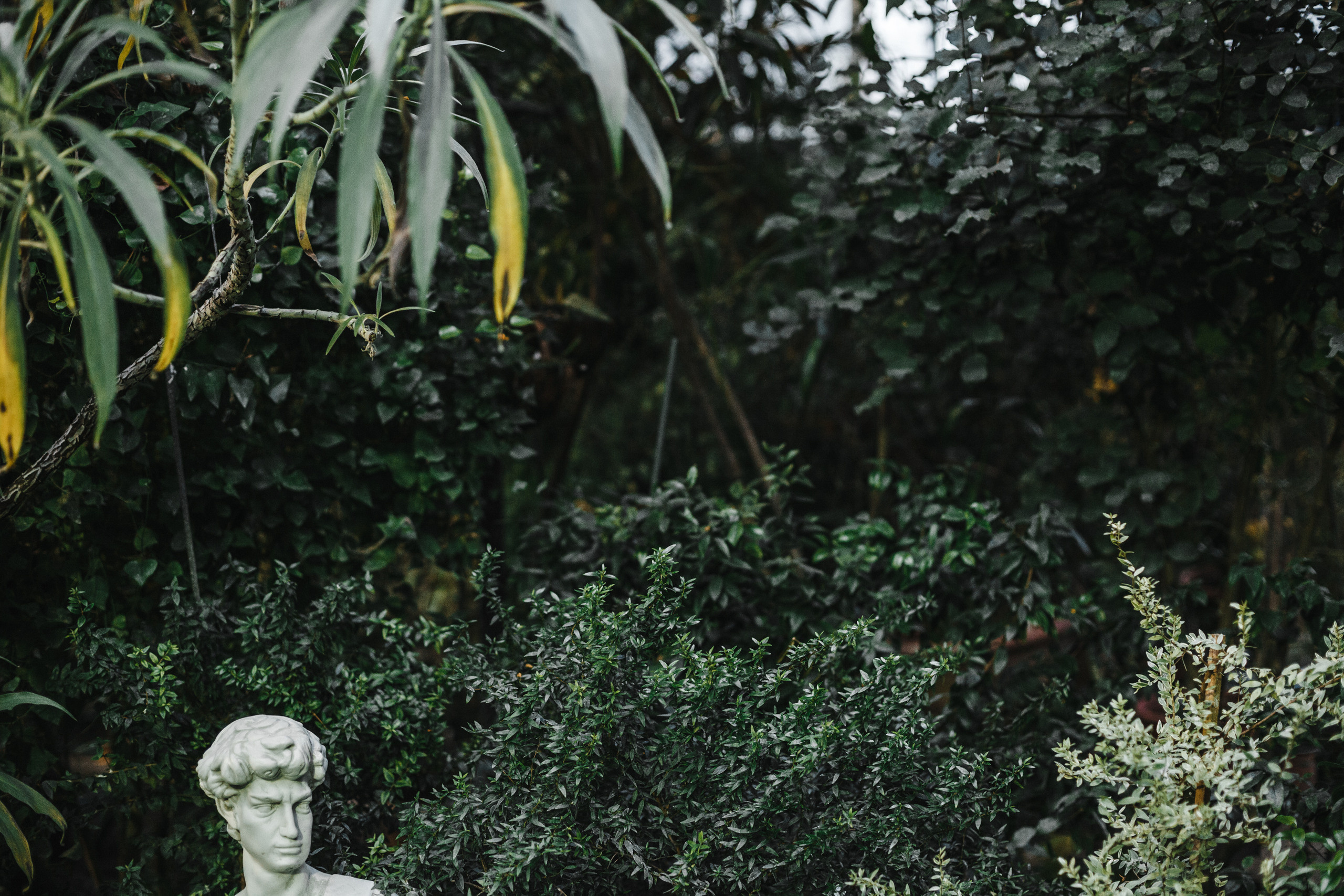 Ботанический сад ТГУ