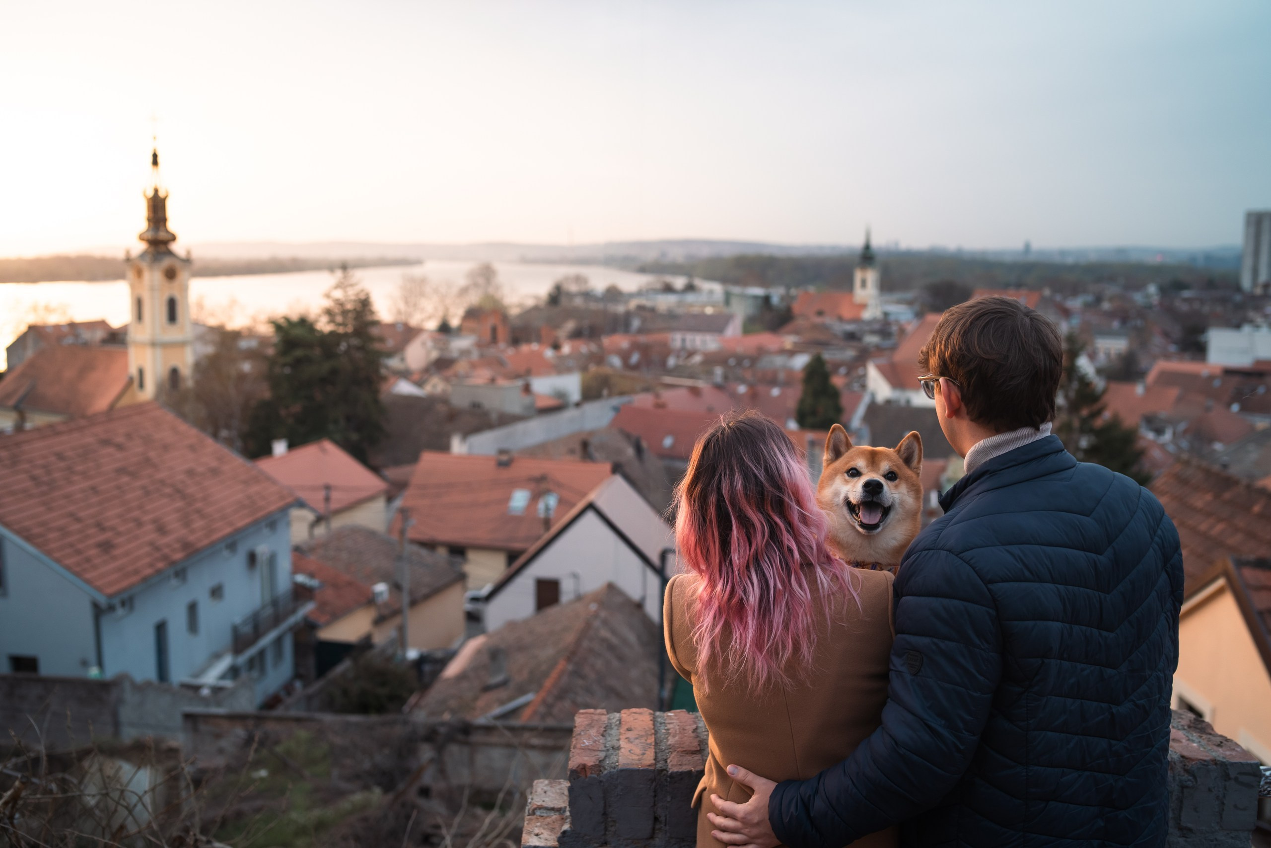 Услуги. Фотограф анималист