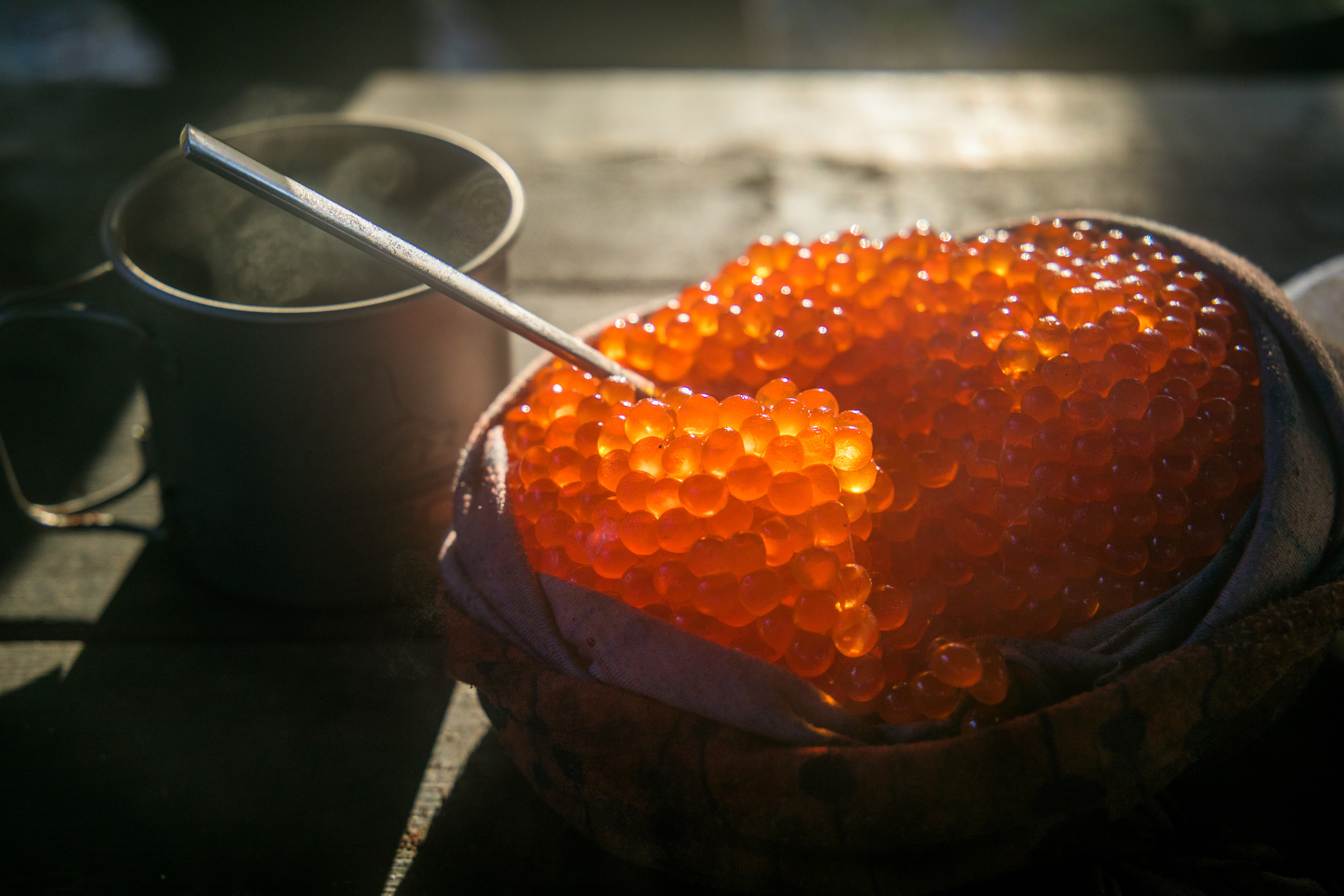 Твоя Земля. Твоя Камчатка. Гуров Олег — фотограф в путешествие