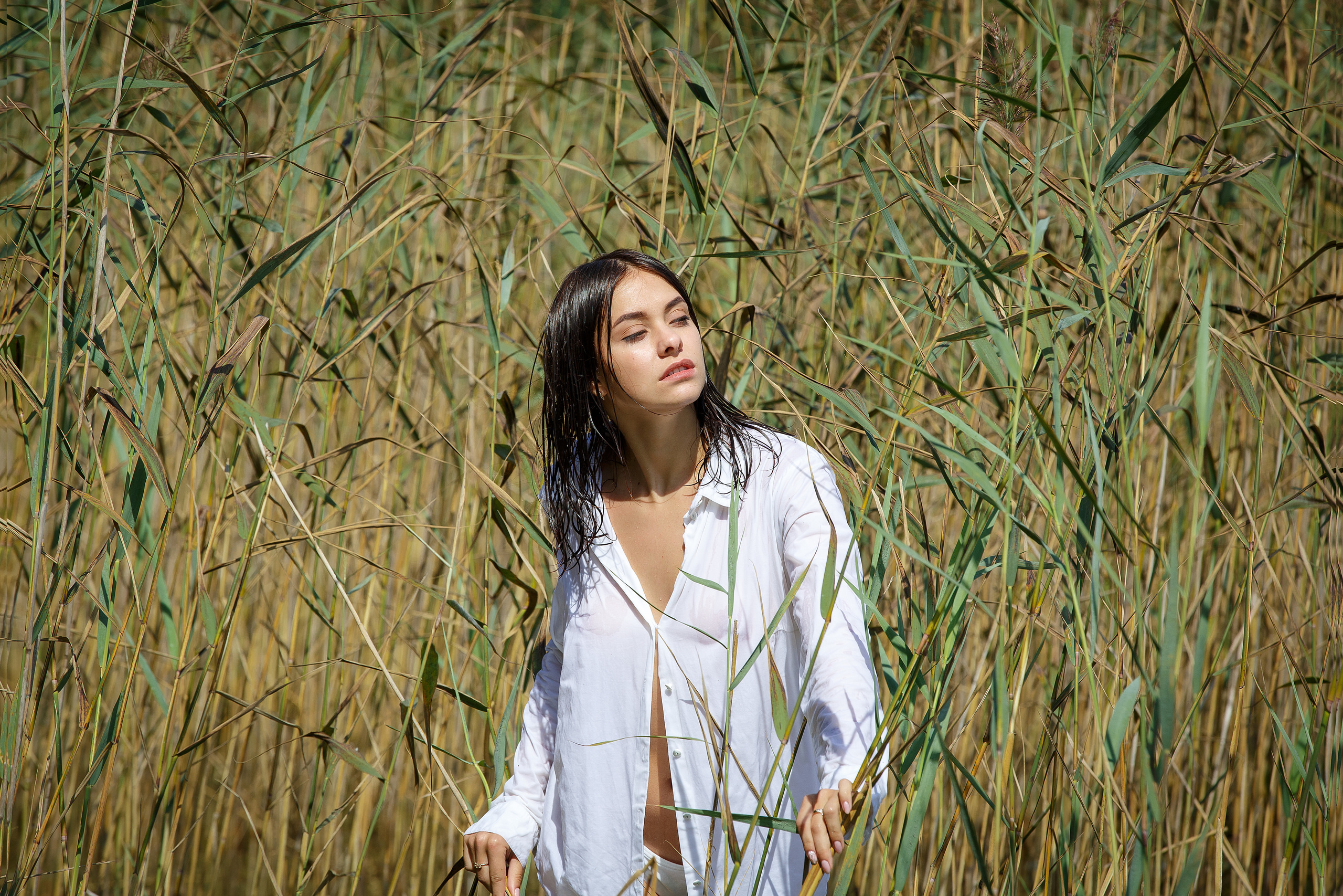 девушка в мокрой белой рубашке в камышах.