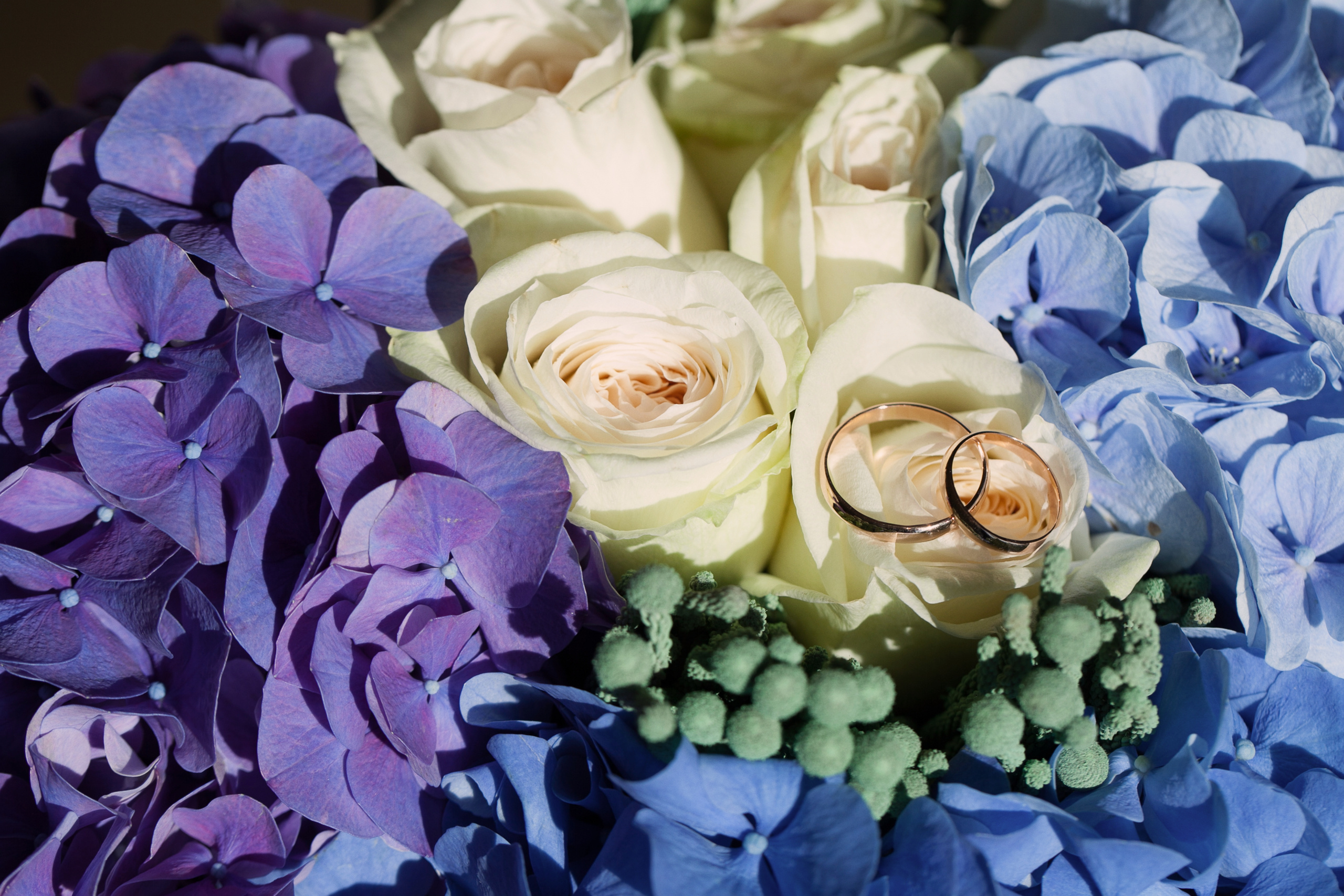 Прайс. Sasha Fox  - профессиональный фотограф из Санкт-Петербурга. Фотосессия