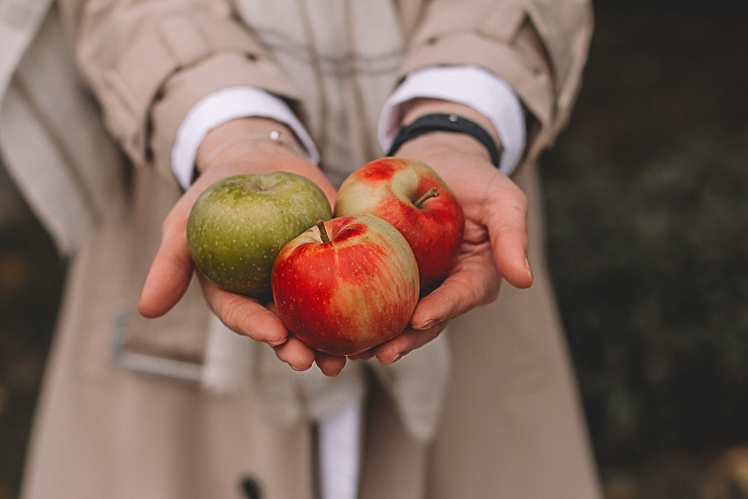 Фотосессия. Фотограф Vivien Rocher г. Москва