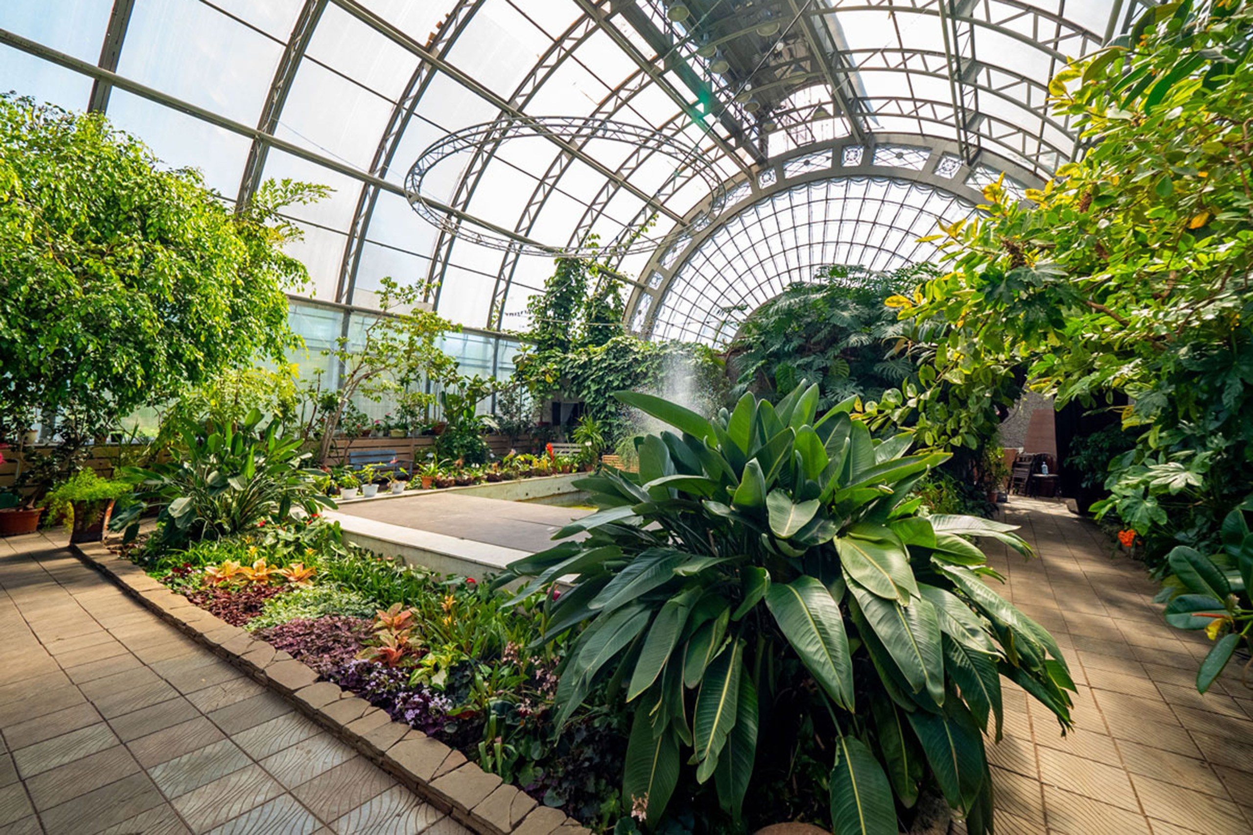 Локации для свадебной фотосессии в Санкт-Петербурге в плохую погоду. Свадебный и портретный фотограф в Санкт-Петербурге Анна Демьянова