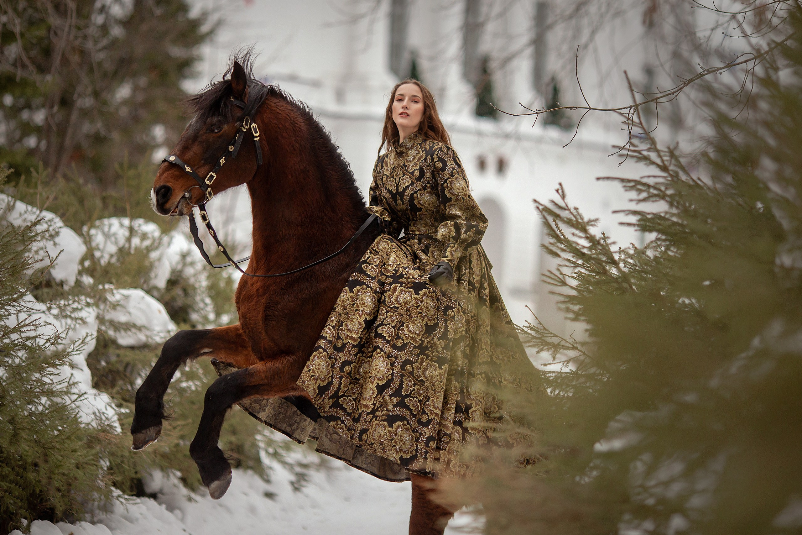 Фотосессии с лошадьми. Конный фотограф Валынкина Лера