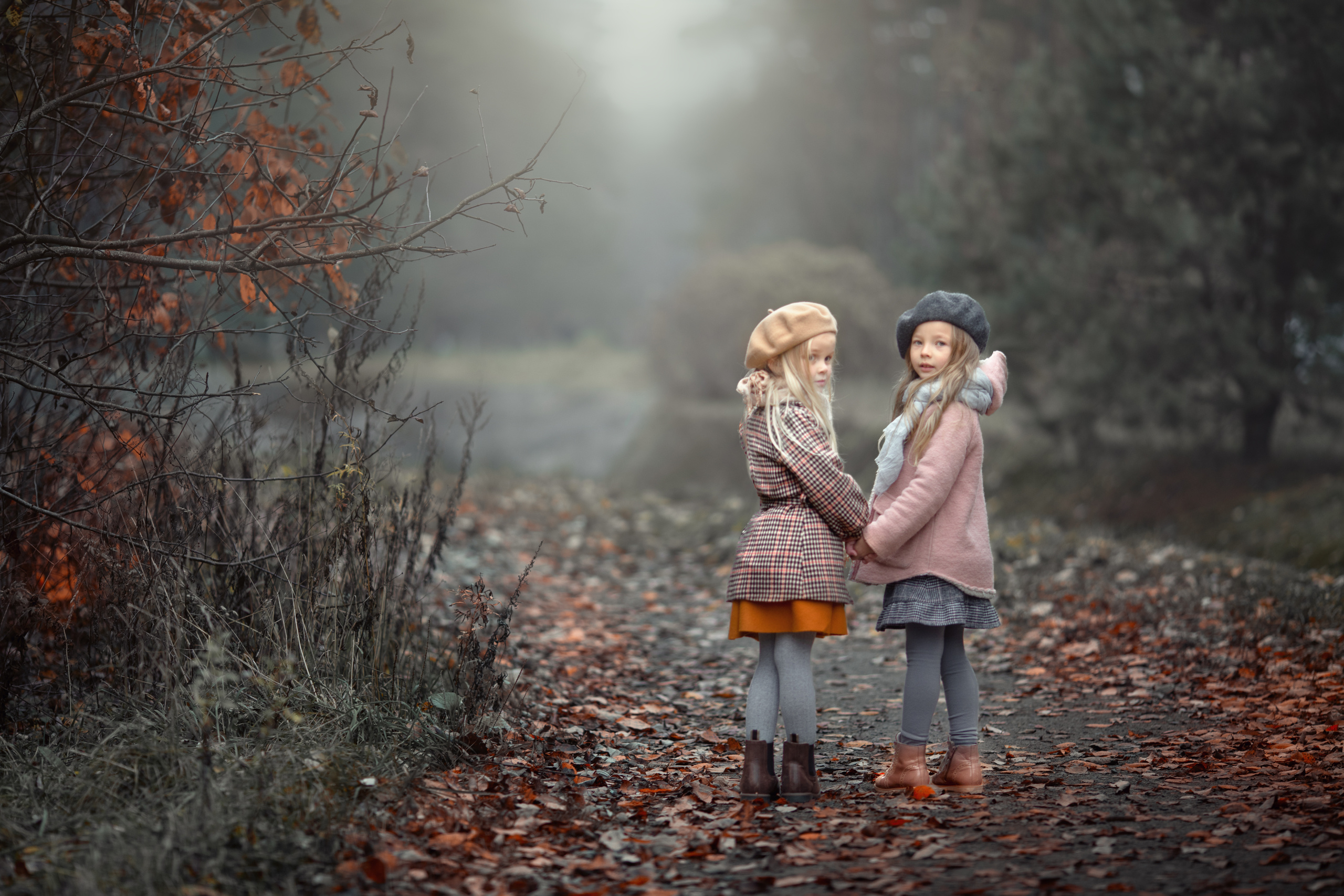 Прайс. Arma Gray — Нижний Новгород