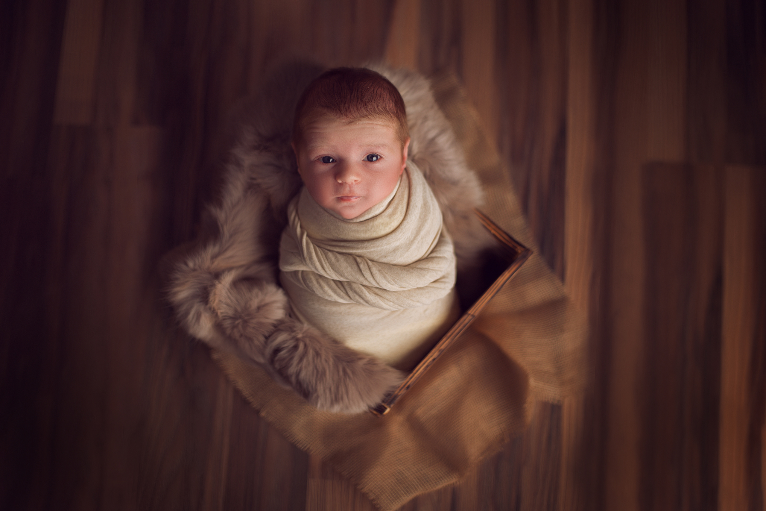 О себе в глаголах. Ирина Чайка. Профессиональный фотограф и наставник экспертов