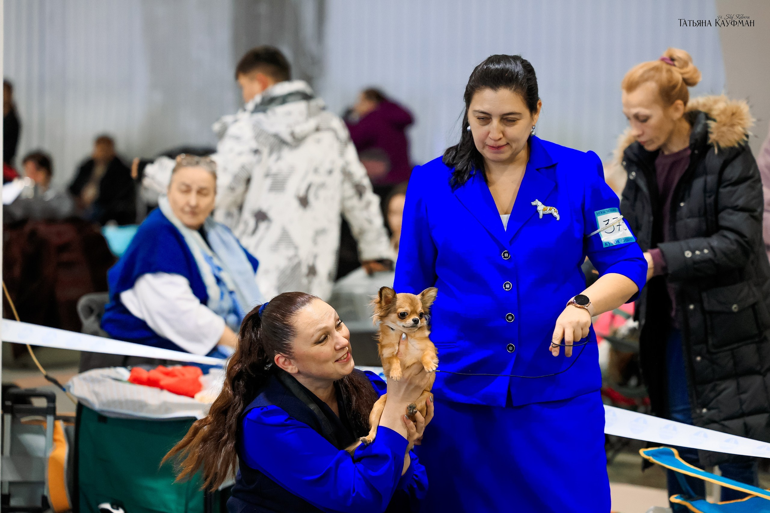 6-7.12.2025 г.Новосибирск. Фотограф анималист Елена Галдина г. Красноярск