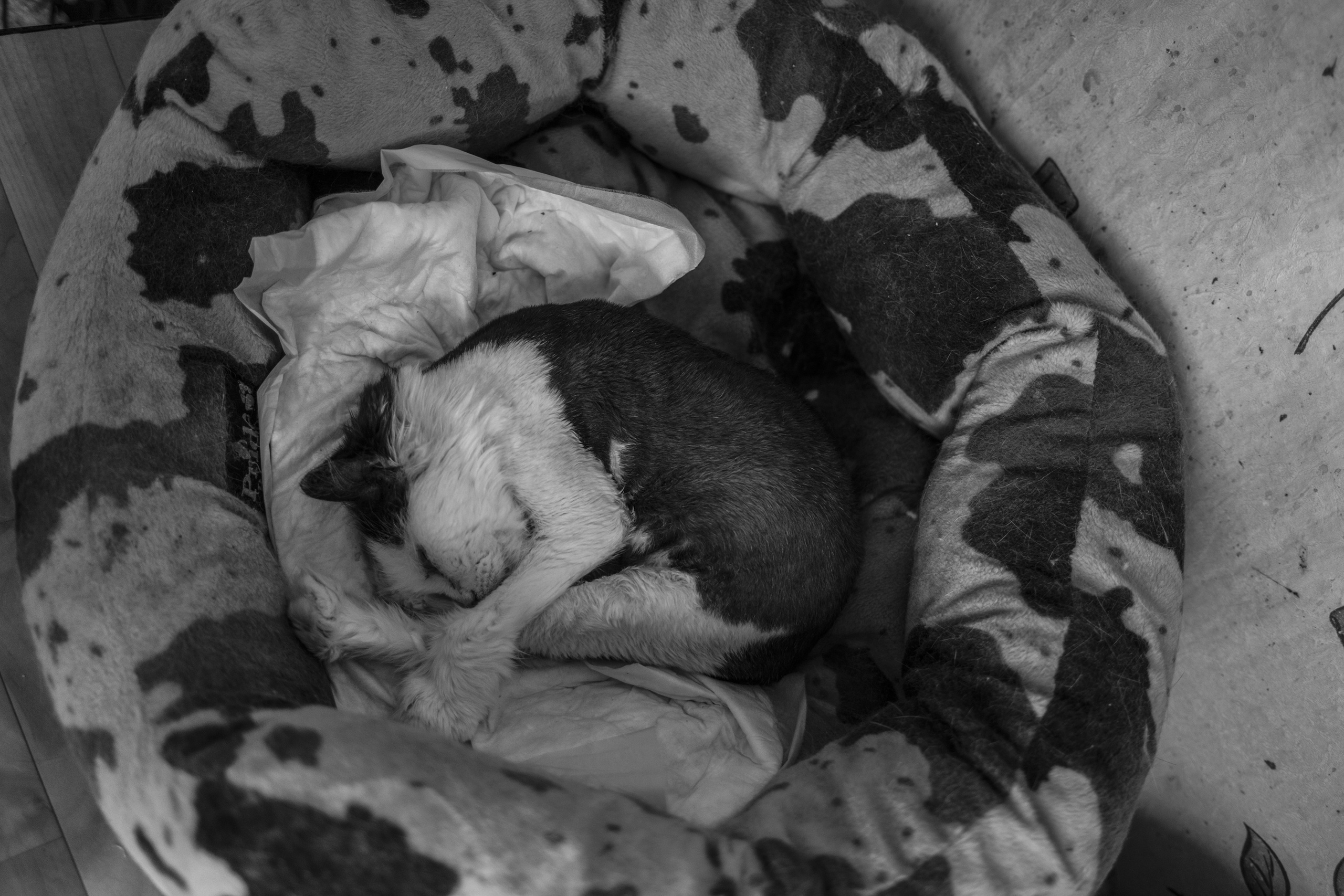 Место, где свет. Plechinta Ekaterina — documentary photographer