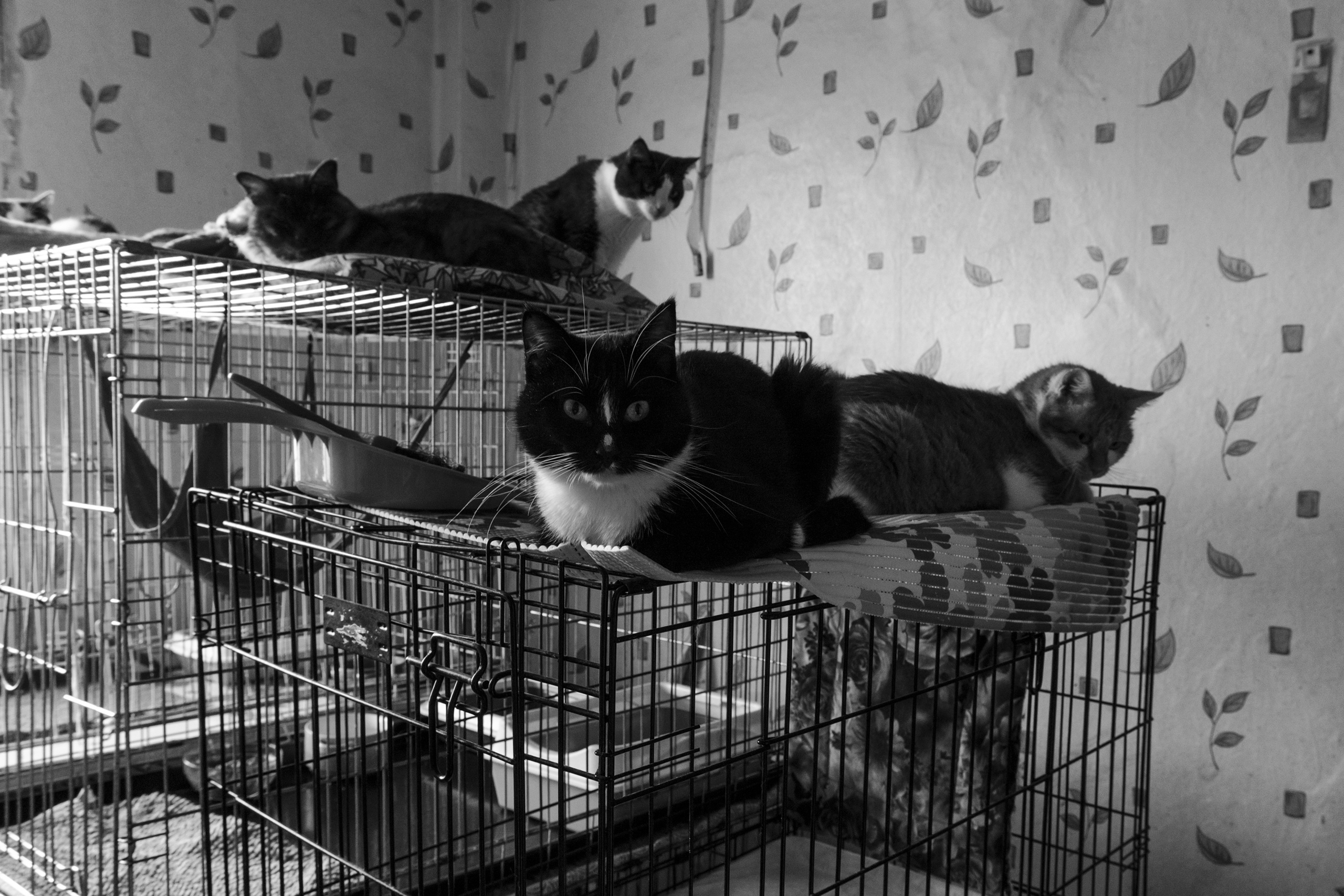 Место, где свет. Plechinta Ekaterina — documentary photographer