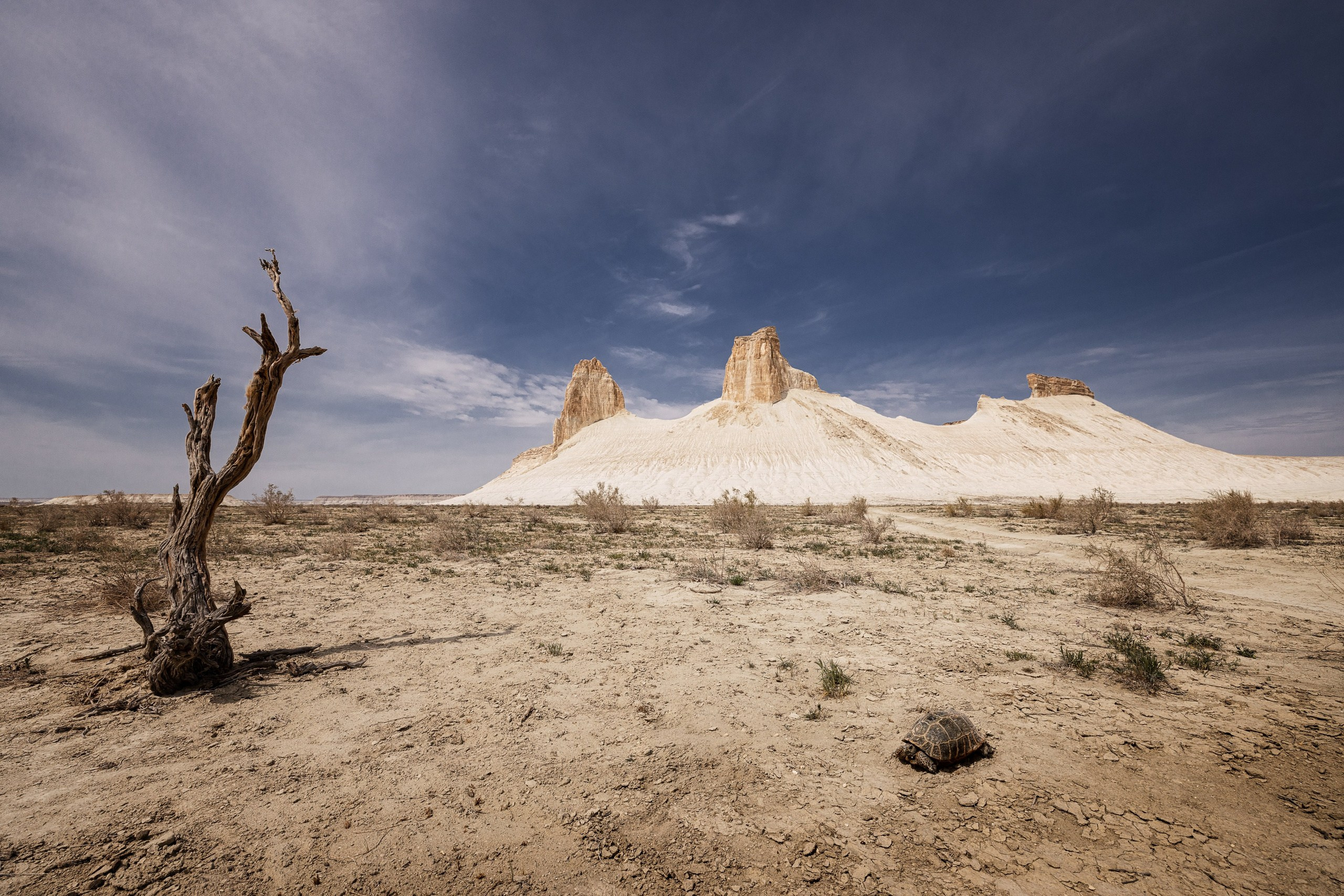 Экспедиция в Мангистау. Казахстан (28.03 — 11.04.25). Фотограф Константин Шамин