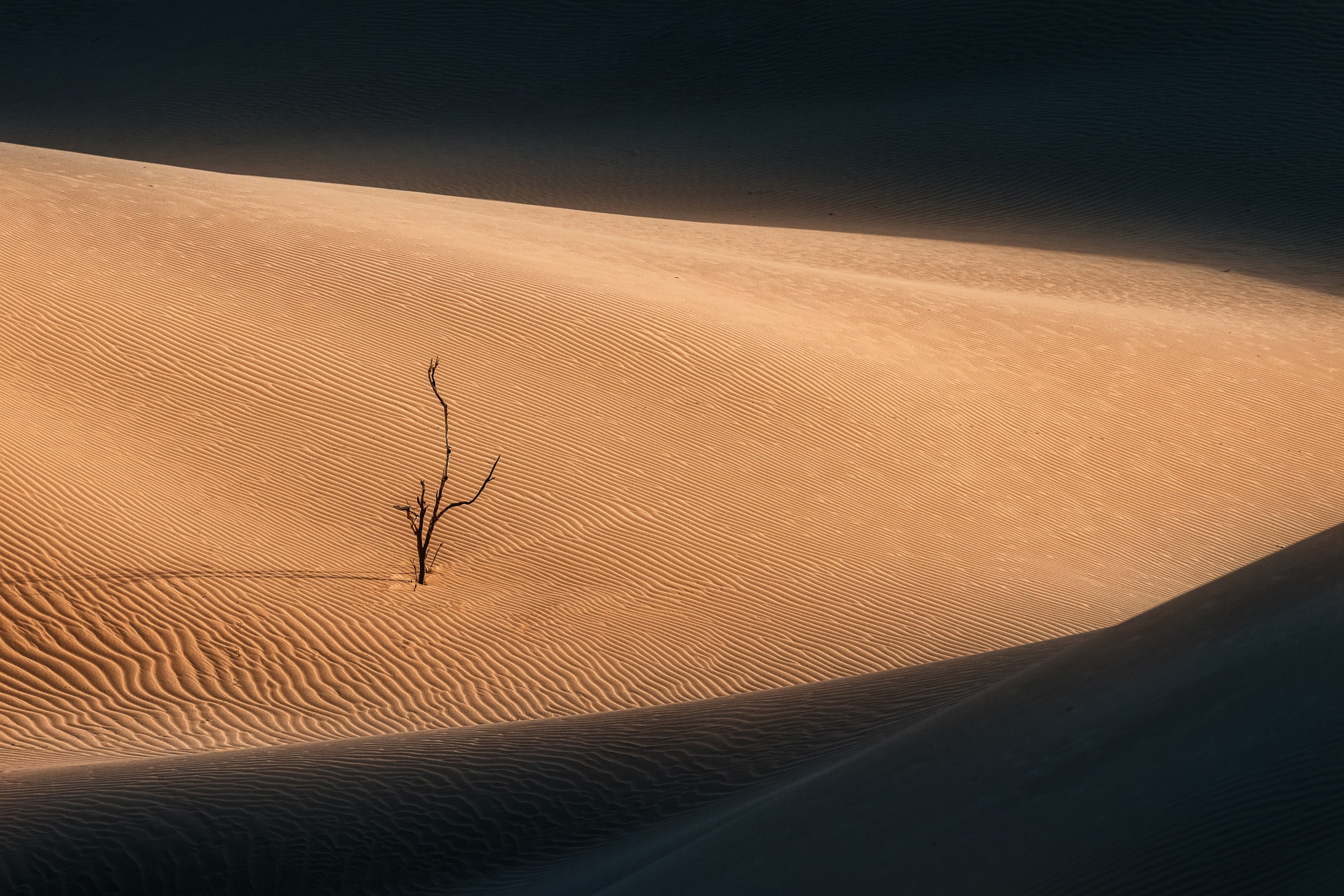 Экспедиция в Мангистау. Казахстан (28.03 — 11.04.25). Фотограф Константин Шамин