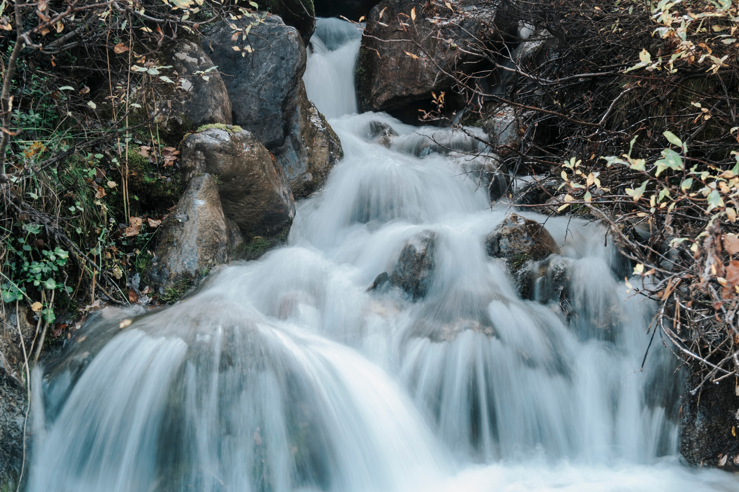 КМВ и Крым (сентябрь 2020)