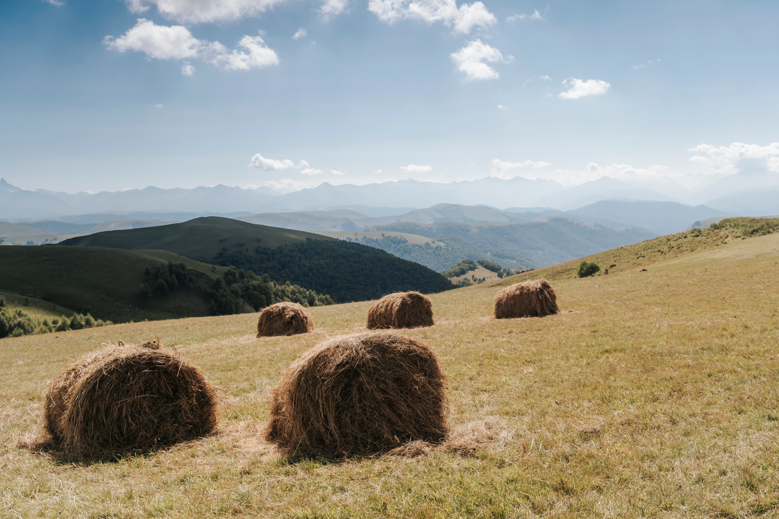 КМВ и Крым (сентябрь 2020)
