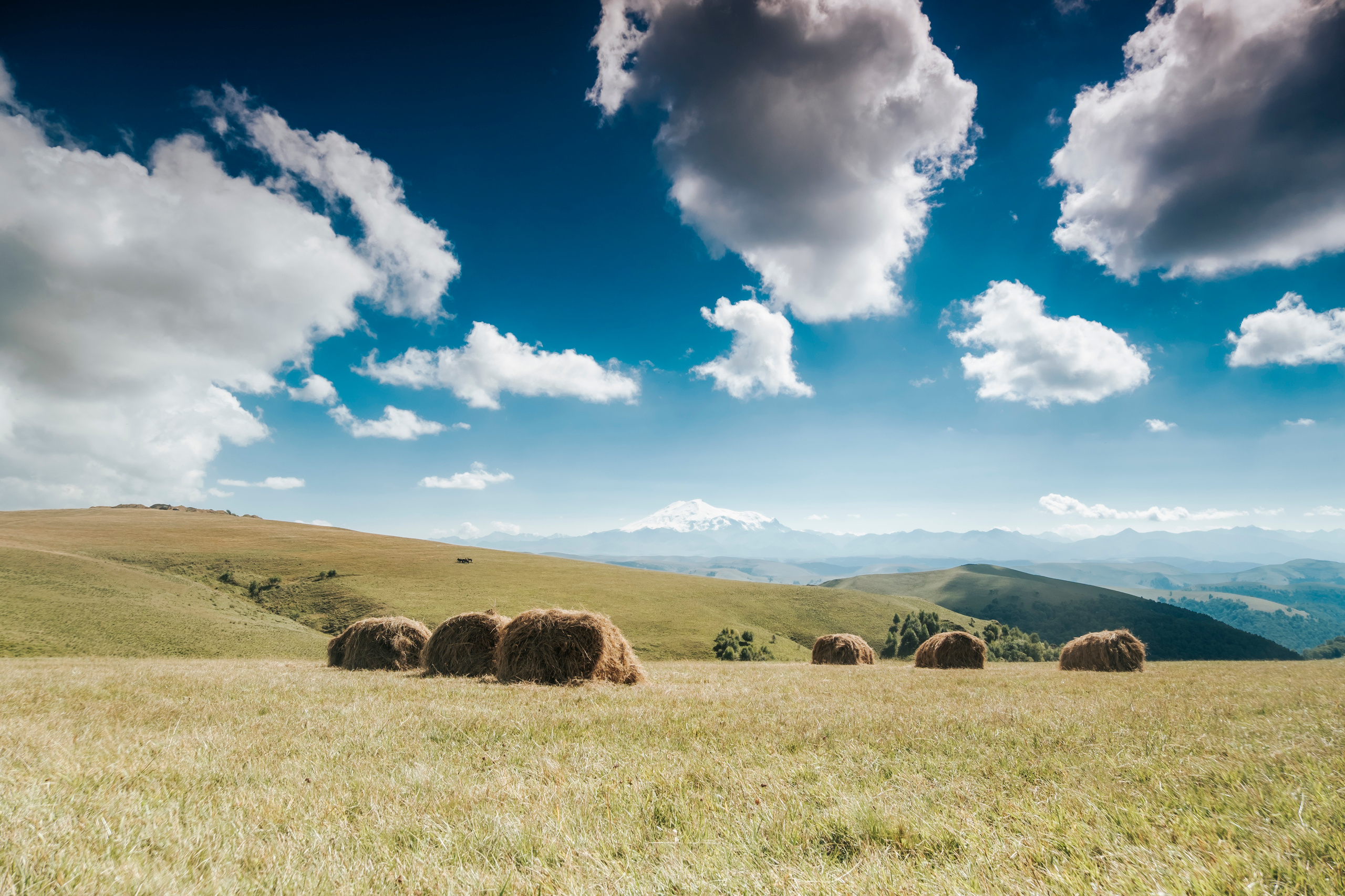 КМВ и Крым (сентябрь 2020)
