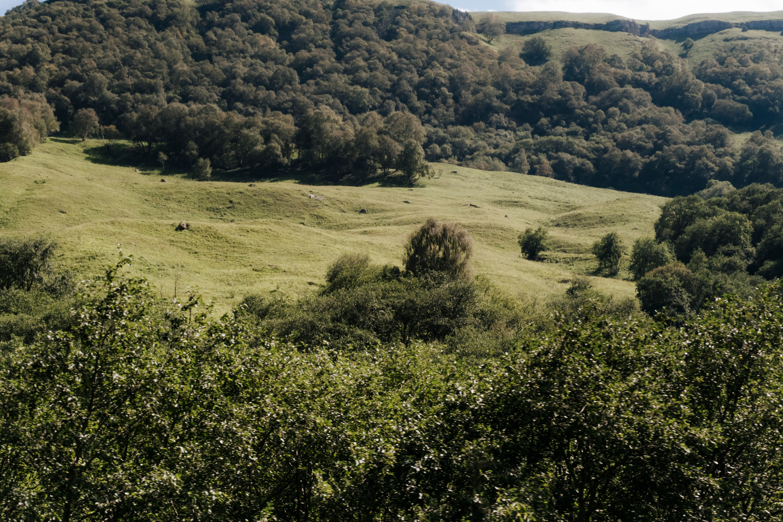 КМВ и Крым (сентябрь 2020)