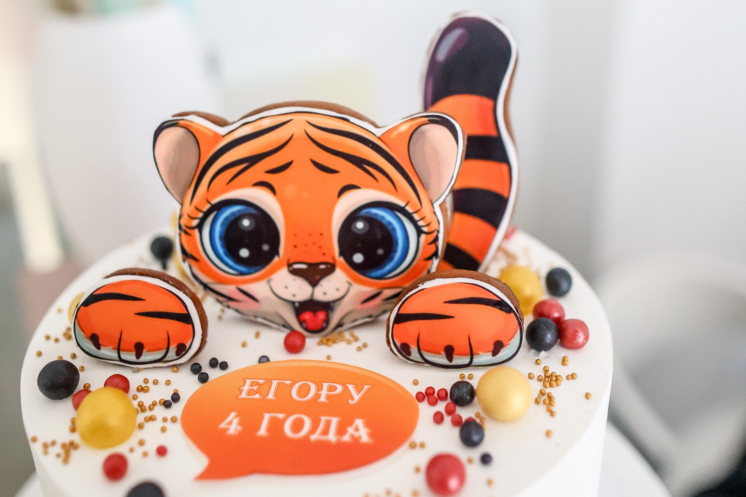 Организация детских праздников в Колпино и Тельмана. Организация детских праздников в п.Тельмана и г. Колпино