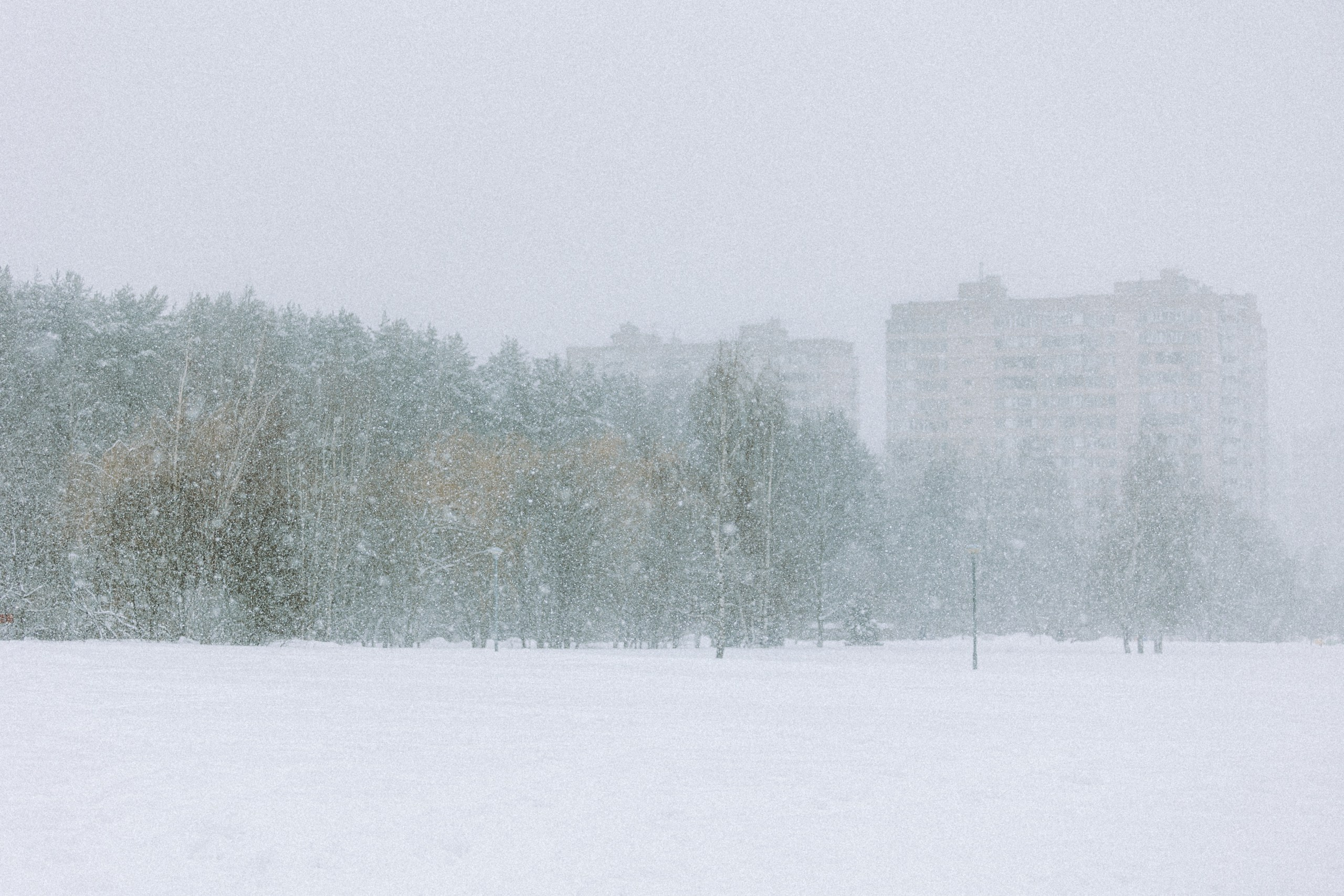 Как фотографировать зимой и сохранить технику?