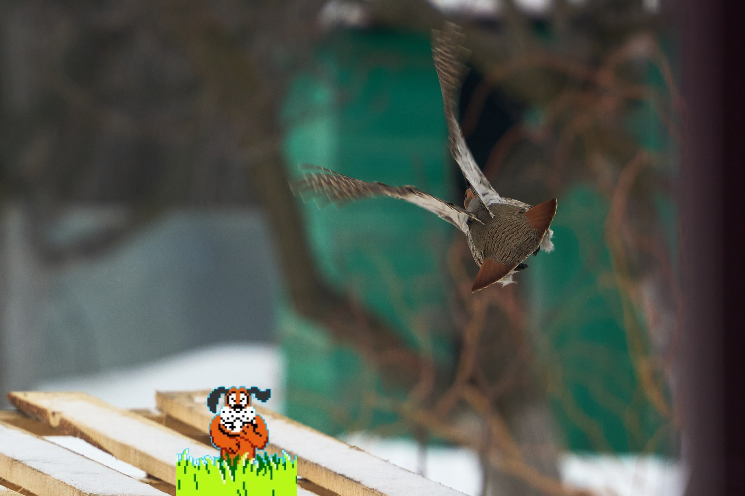 Sony a6700 + Tamron 70-180/2.8 G2. Фотографирует красивое Денис Горностаев