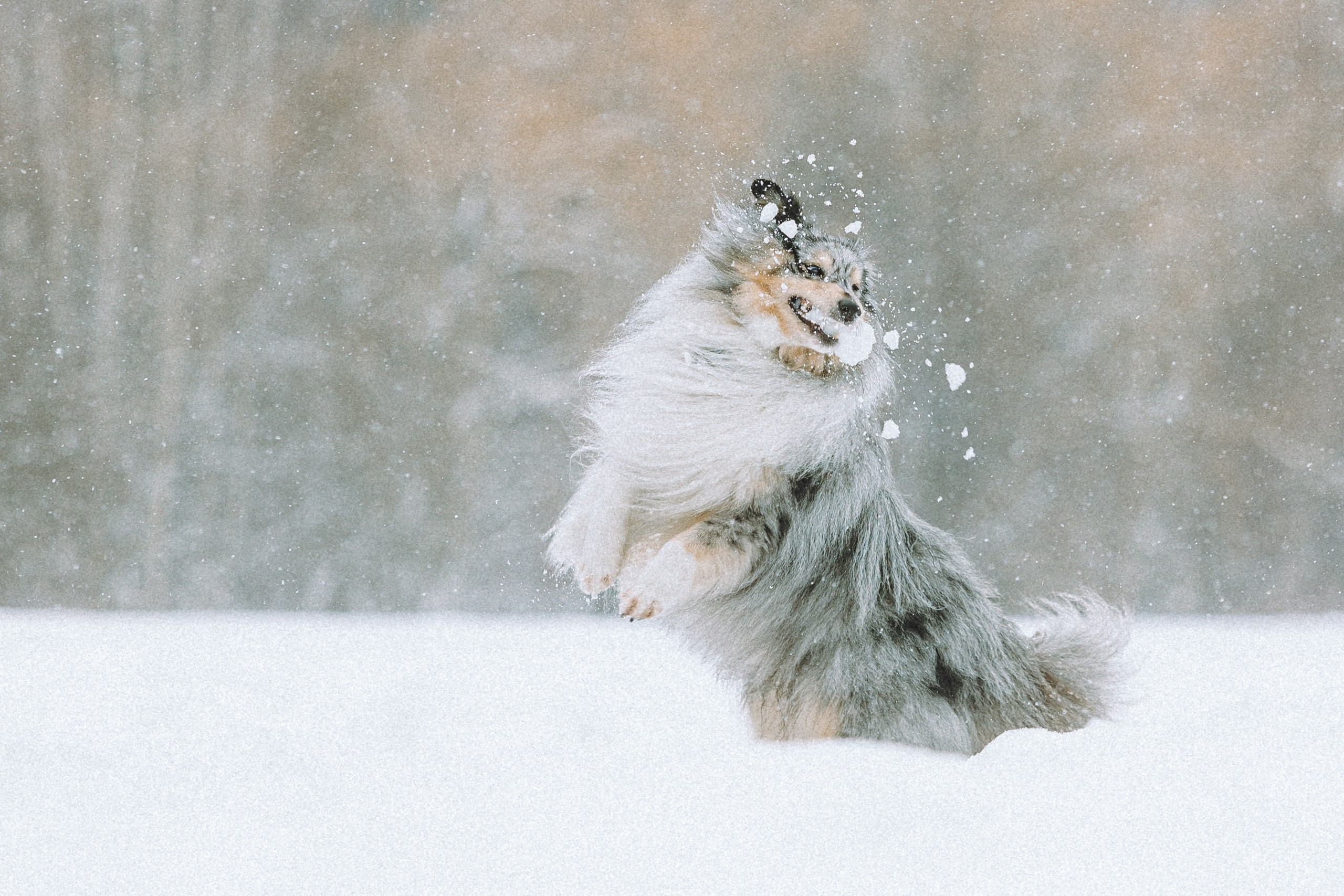 Как фотографировать зимой и сохранить технику?