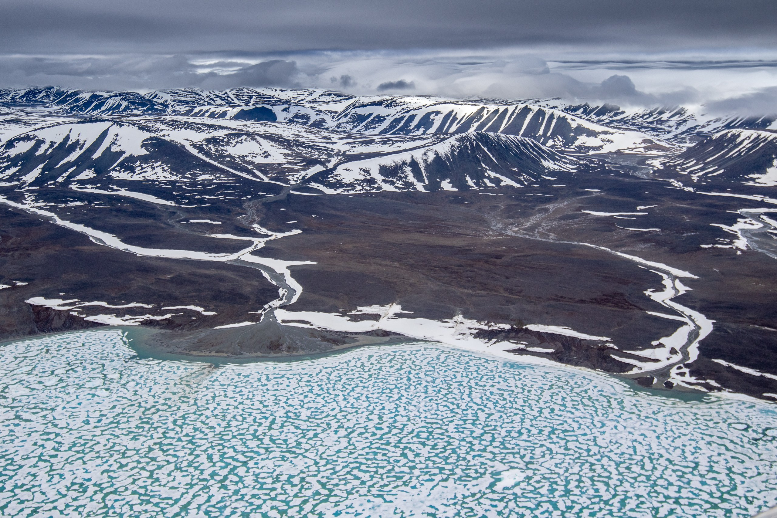 фототуры, фототур, экспедиция, животные, приключение, путешествие, поездка, глухарь, туры выходного дня, туры по России, фототуры по России, дикая природа, олени