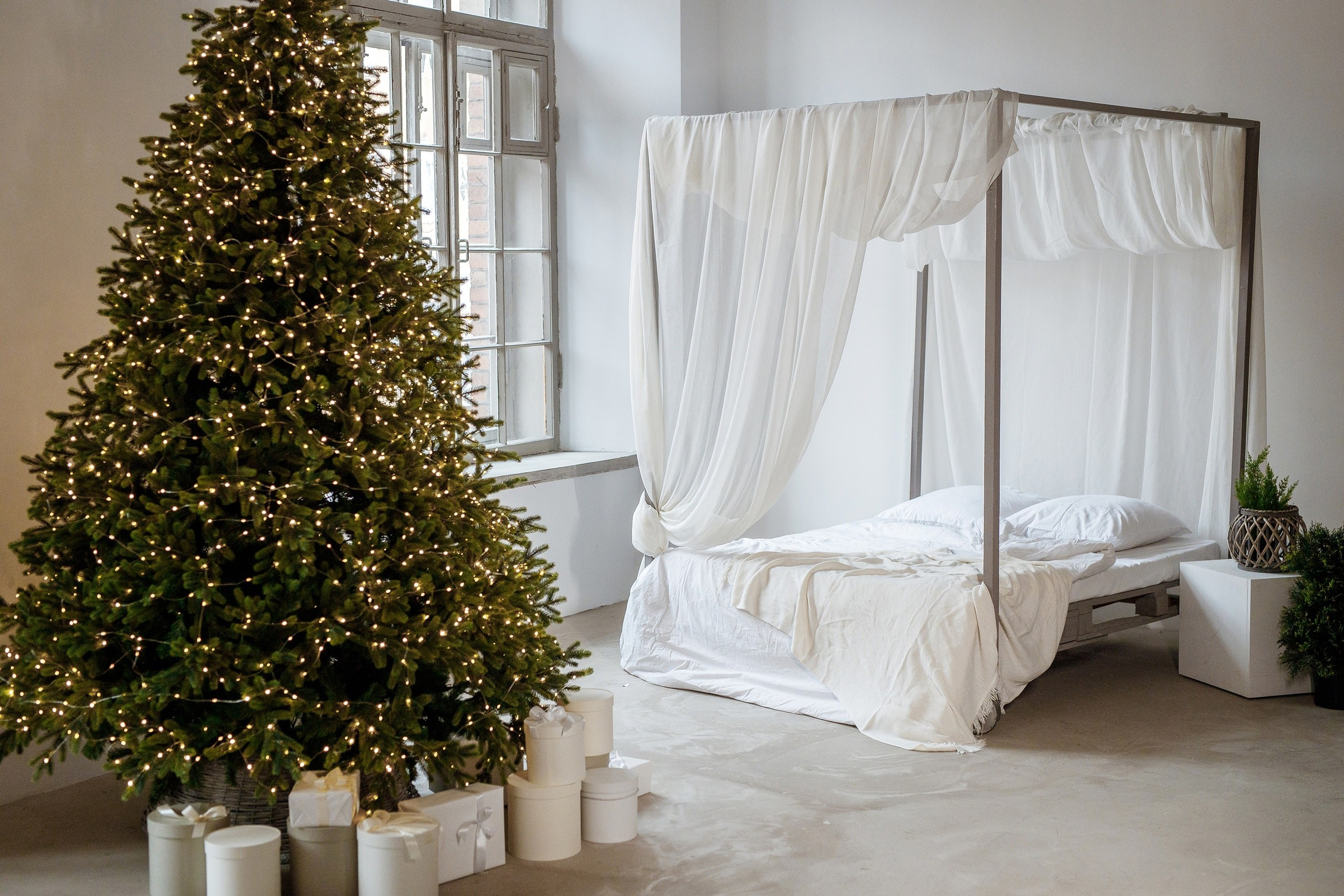 Новогодние фотосъемки. Семейный фотограф. Великанова Ирина. Санкт-Петербург. Пушкин