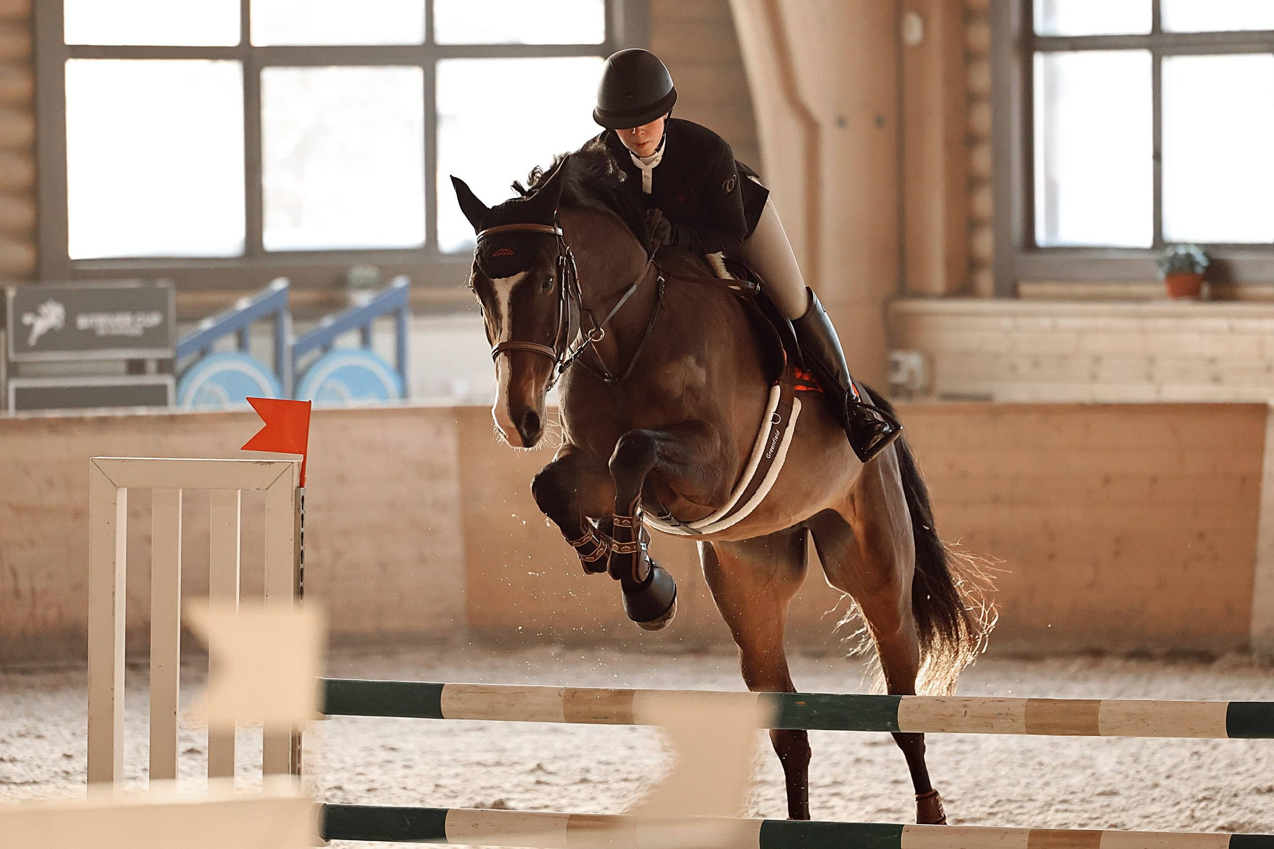 КСК ПЕГАС 25.01. Фотограф Баринова Полина