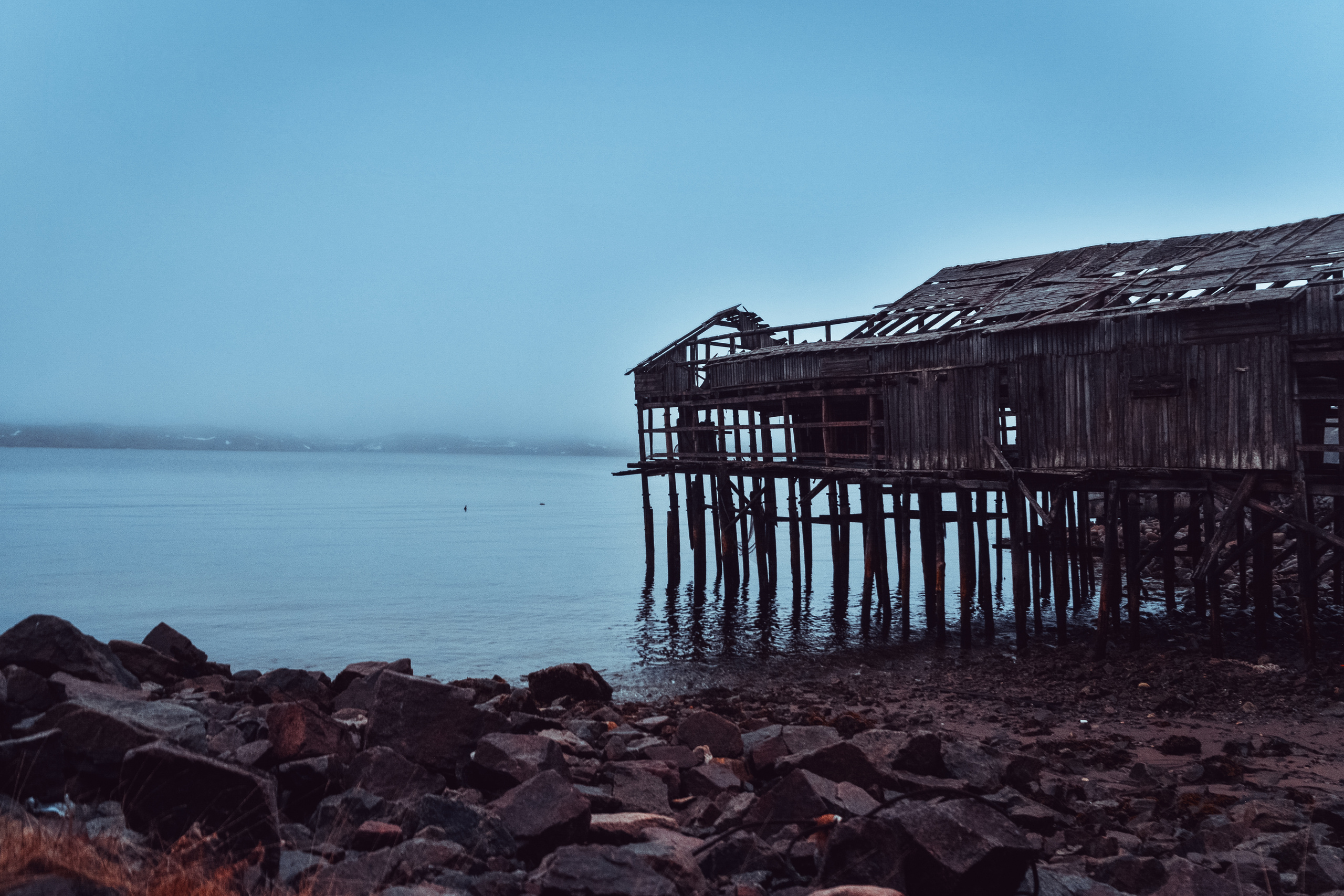 Exhibitions. Фотограф Женя Грош в Москве